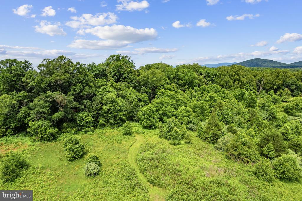 33 DOCS RD, CULPEPER, Virginia 22701, ,Land,33 DOCS RD,VACU2014256 MLS # VACU2014256