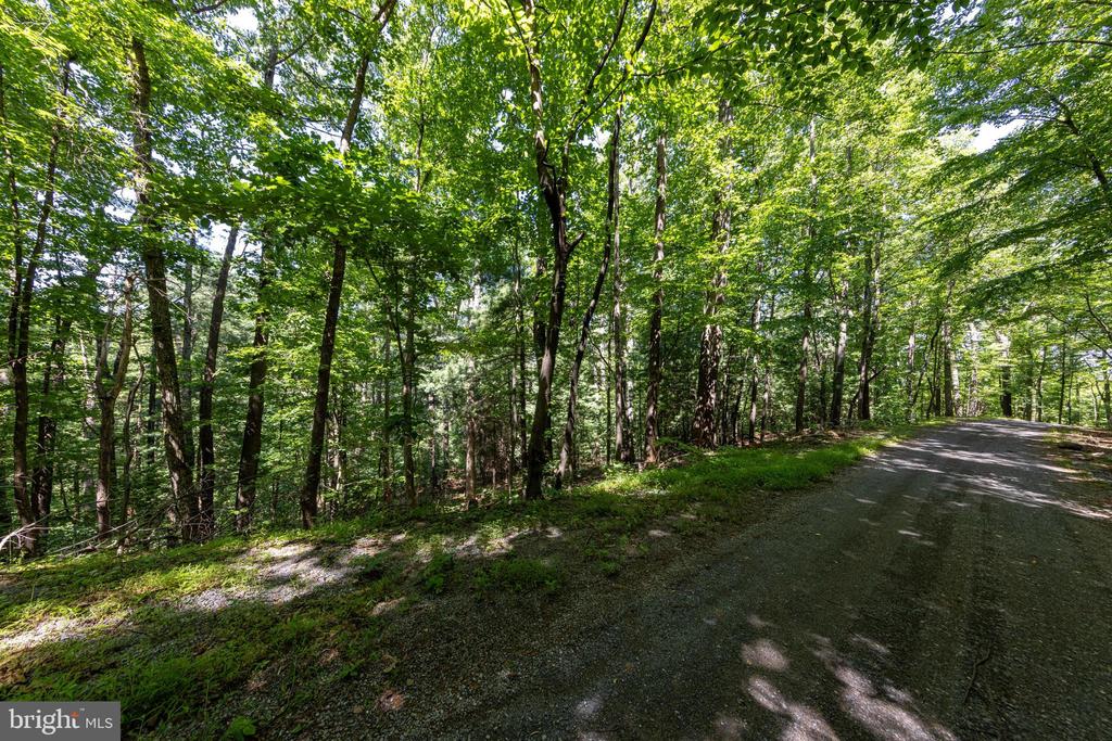 0 HELMS ROAD, STANLEY, Virginia 22851, ,Land,0 HELMS ROAD,VAPA2006604 MLS # VAPA2006604