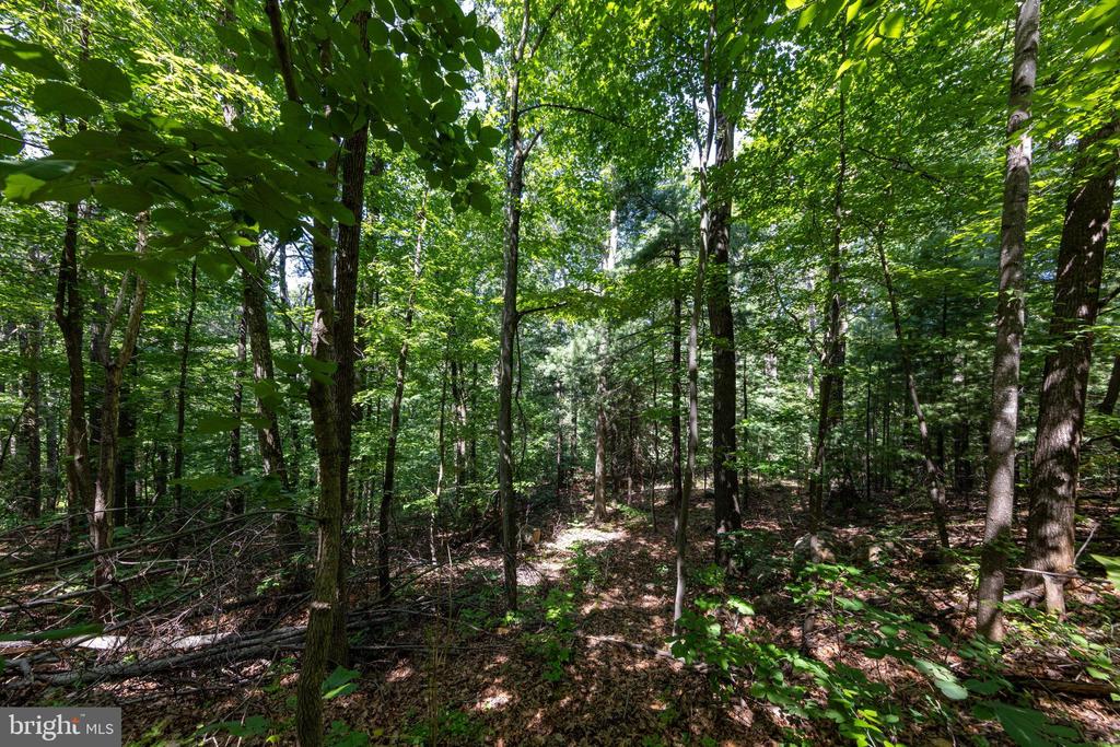 0 HELMS ROAD, STANLEY, Virginia 22851, ,Land,0 HELMS ROAD,VAPA2006604 MLS # VAPA2006604