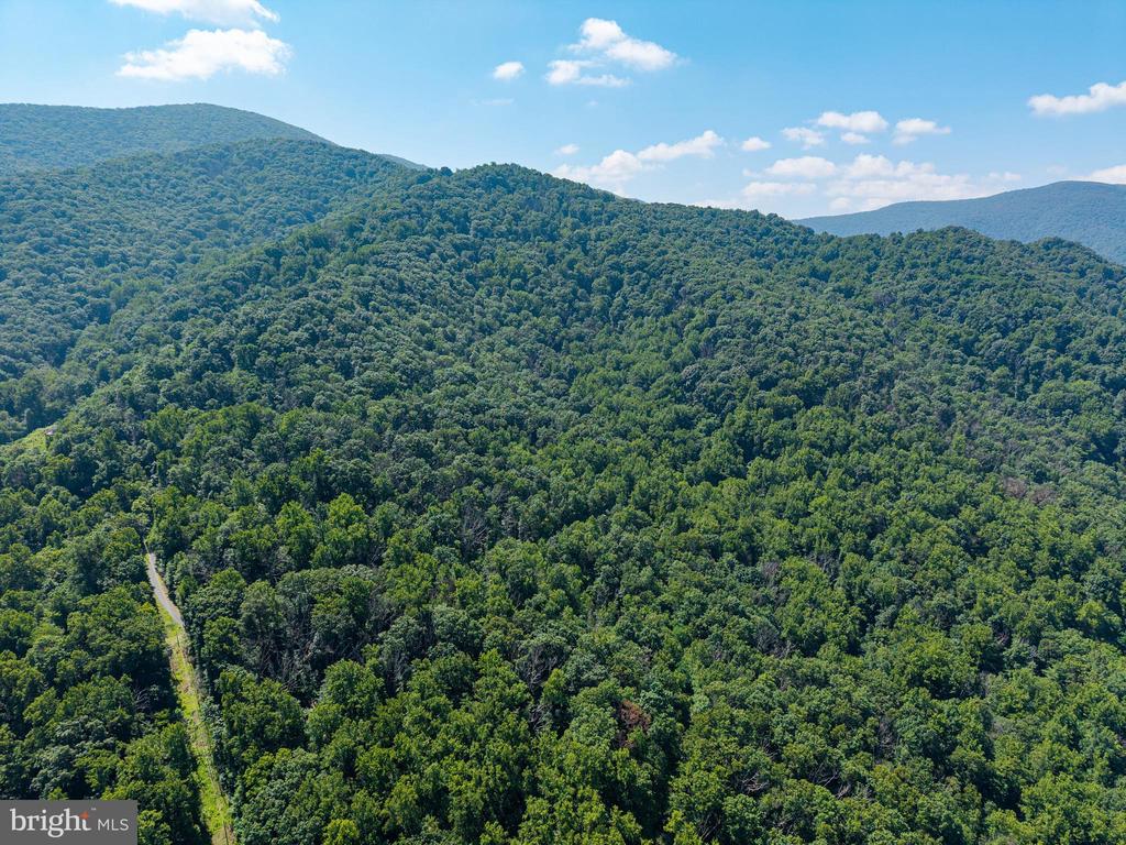0 HELMS ROAD, STANLEY, Virginia 22851, ,Land,0 HELMS ROAD,VAPA2006602 MLS # VAPA2006602