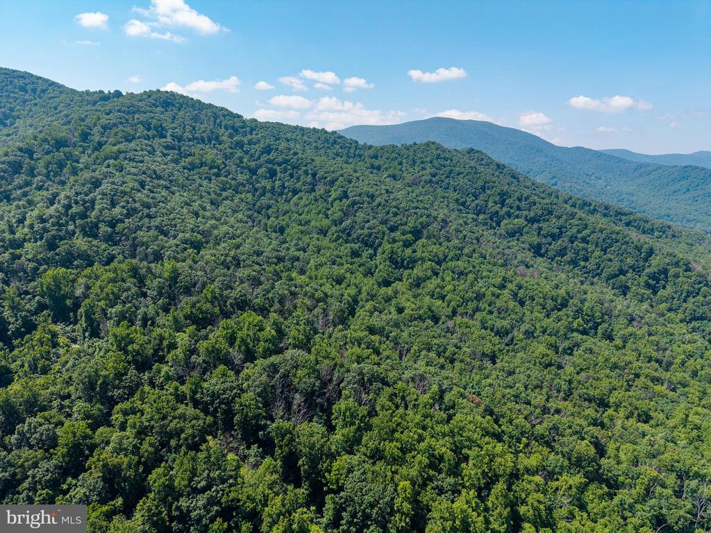 0 HELMS ROAD, STANLEY, Virginia 22851, ,Land,0 HELMS ROAD,VAPA2006602 MLS # VAPA2006602