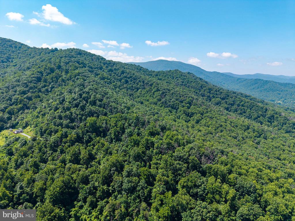 0 HELMS ROAD, STANLEY, Virginia 22851, ,Land,0 HELMS ROAD,VAPA2006602 MLS # VAPA2006602