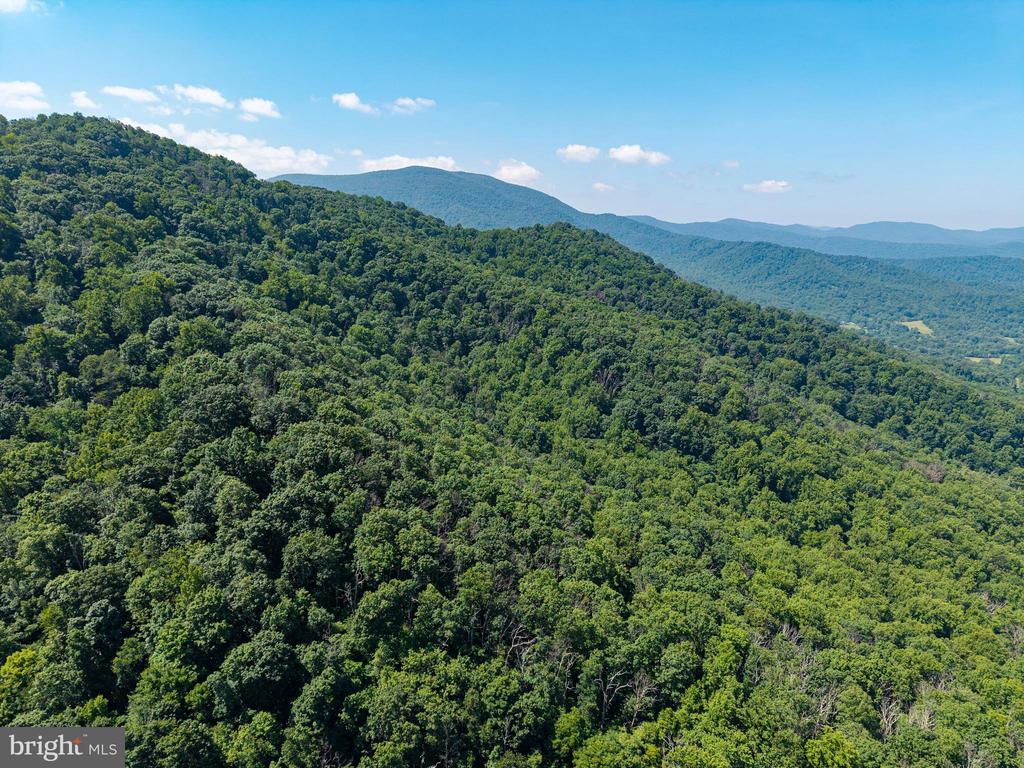 0 HELMS ROAD, STANLEY, Virginia 22851, ,Land,0 HELMS ROAD,VAPA2006602 MLS # VAPA2006602