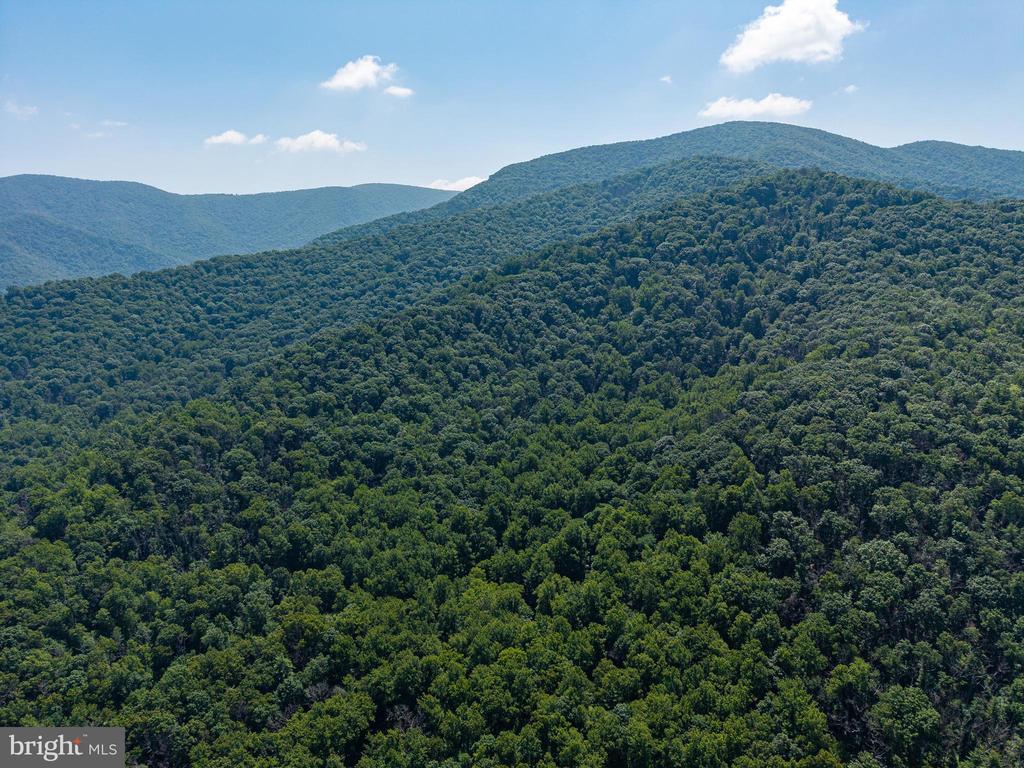 0 HELMS ROAD, STANLEY, Virginia 22851, ,Land,0 HELMS ROAD,VAPA2006602 MLS # VAPA2006602