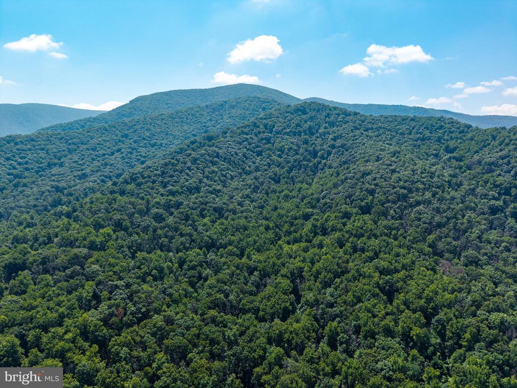 0 HELMS ROAD, STANLEY, Virginia 22851, ,Land,0 HELMS ROAD,VAPA2006602 MLS # VAPA2006602