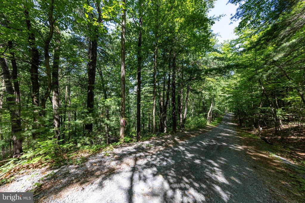 0 HELMS ROAD, STANLEY, Virginia 22851, ,Land,0 HELMS ROAD,VAPA2006602 MLS # VAPA2006602