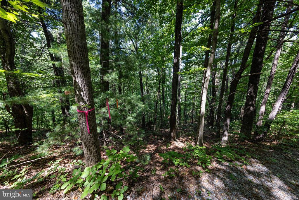 0 HELMS ROAD, STANLEY, Virginia 22851, ,Land,0 HELMS ROAD,VAPA2006602 MLS # VAPA2006602