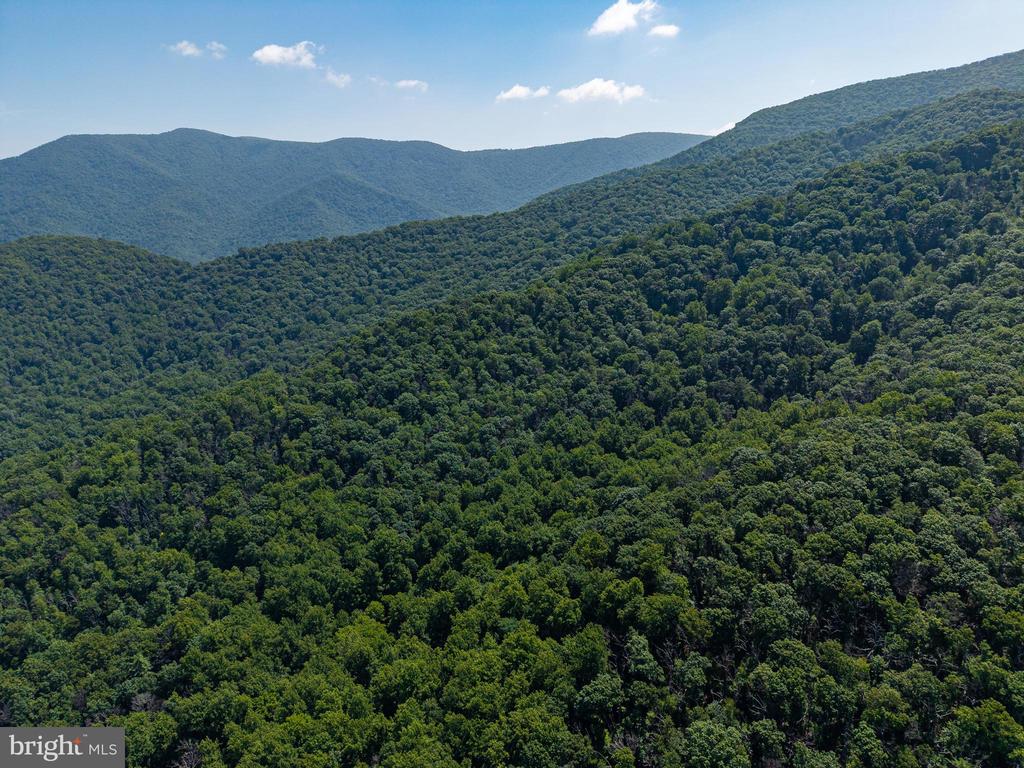 0 HELMS ROAD, STANLEY, Virginia 22851, ,Land,0 HELMS ROAD,VAPA2006602 MLS # VAPA2006602