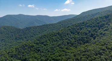 0 HELMS ROAD, STANLEY, Virginia 22851, ,Land,0 HELMS ROAD,VAPA2006602 MLS # VAPA2006602
