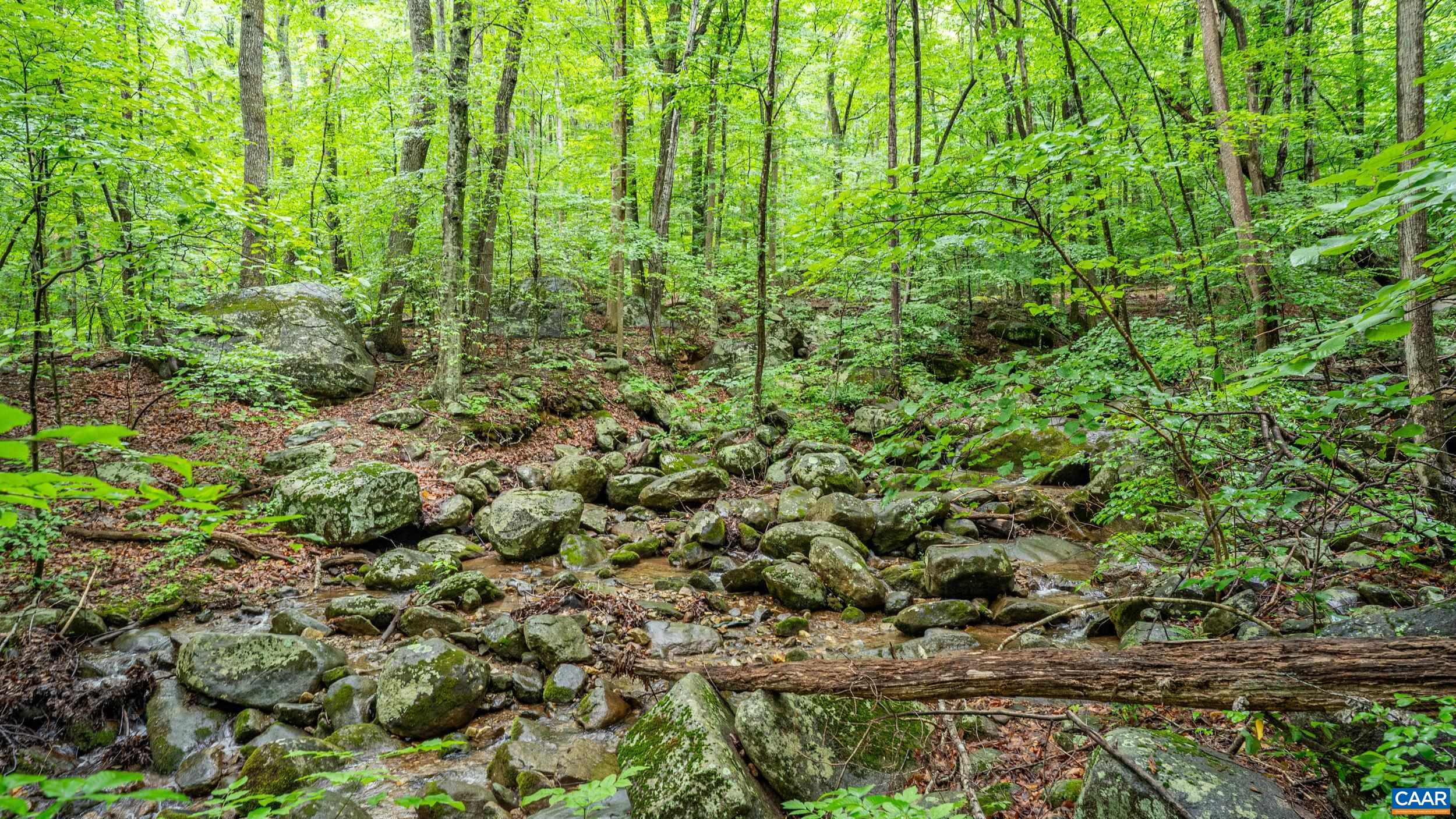 1509 SPRUCE CREEK LN, NELLYSFORD, Virginia 22958, ,Land,1509 SPRUCE CREEK LN,679059 MLS # 679059