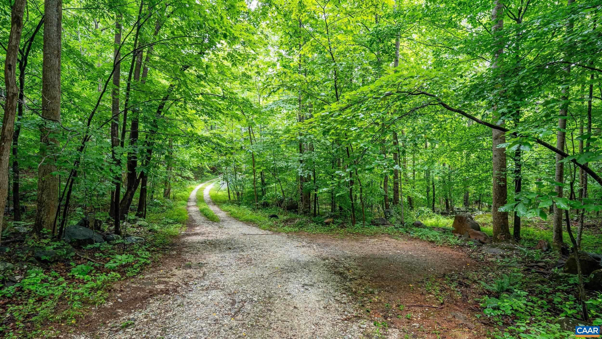 1509 SPRUCE CREEK LN, NELLYSFORD, Virginia 22958, ,Land,1509 SPRUCE CREEK LN,679059 MLS # 679059 1509 SPRUCE CREEK LN, NELLYSFORD, Virginia 22958, ,Land,1509 SPRUCE CREEK LN,679059 MLS # 679059