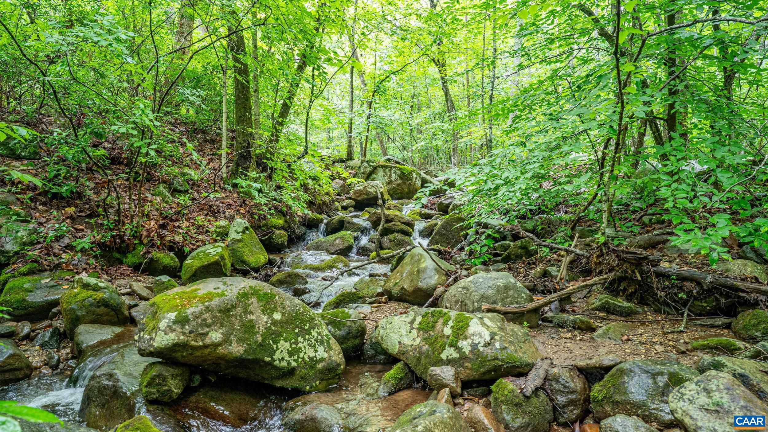 1509 SPRUCE CREEK LN, NELLYSFORD, Virginia 22958, ,Land,1509 SPRUCE CREEK LN,679059 MLS # 679059 1509 SPRUCE CREEK LN, NELLYSFORD, Virginia 22958, ,Land,1509 SPRUCE CREEK LN,679059 MLS # 679059
