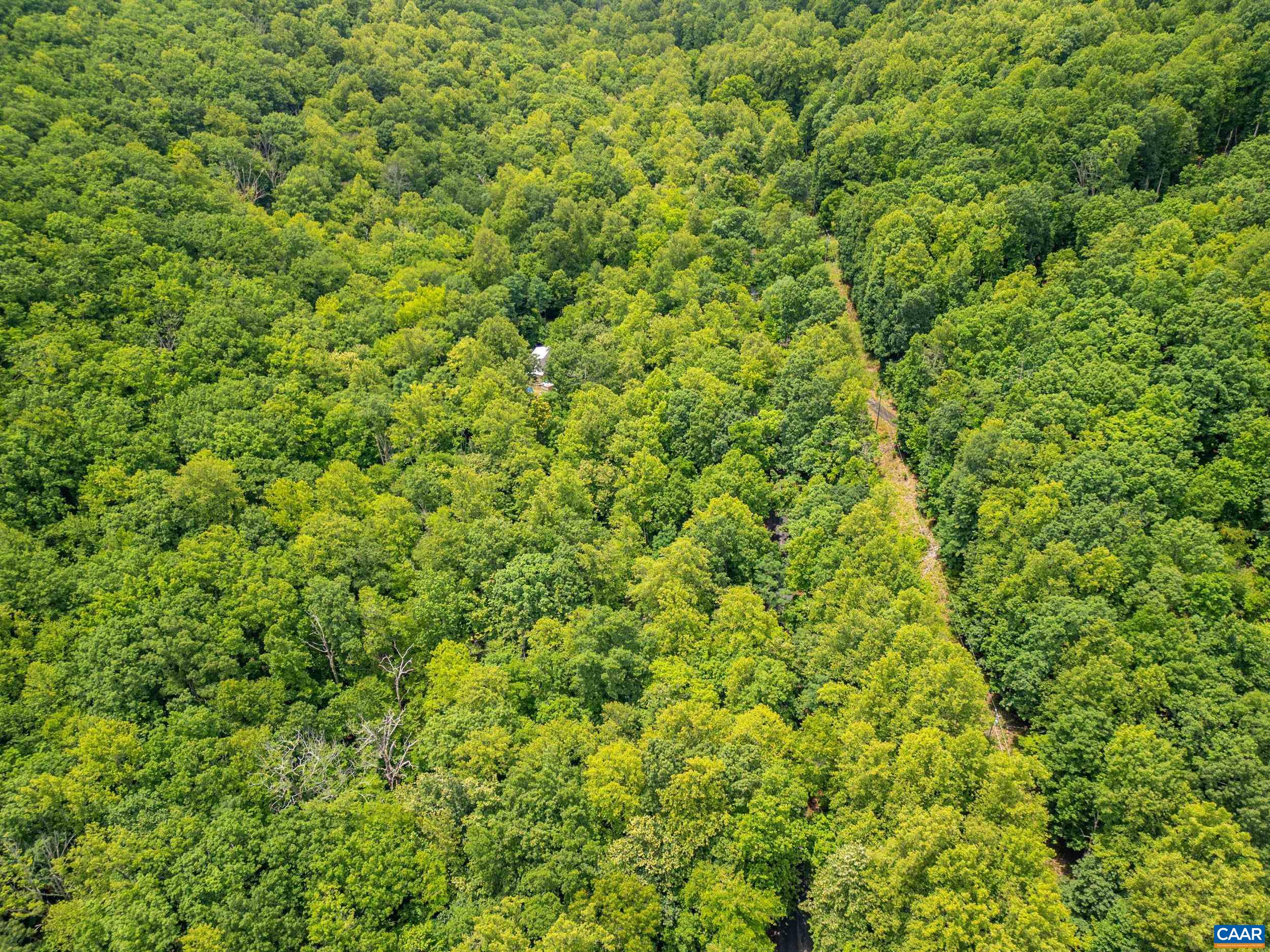 1509 SPRUCE CREEK LN, NELLYSFORD, Virginia 22958, ,Land,1509 SPRUCE CREEK LN,679059 MLS # 679059 1509 SPRUCE CREEK LN, NELLYSFORD, Virginia 22958, ,Land,1509 SPRUCE CREEK LN,679059 MLS # 679059