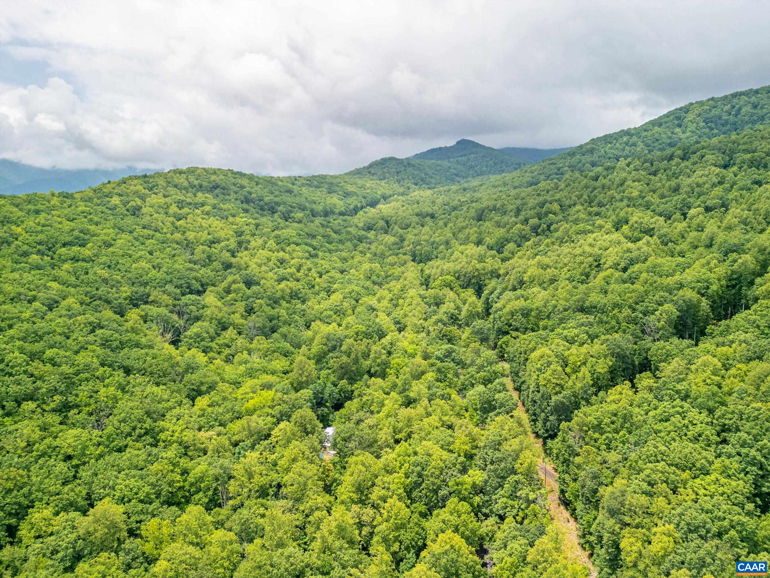 1509 SPRUCE CREEK LN, NELLYSFORD, Virginia 22958, ,Land,1509 SPRUCE CREEK LN,679059 MLS # 679059 1509 SPRUCE CREEK LN, NELLYSFORD, Virginia 22958, ,Land,1509 SPRUCE CREEK LN,679059 MLS # 679059