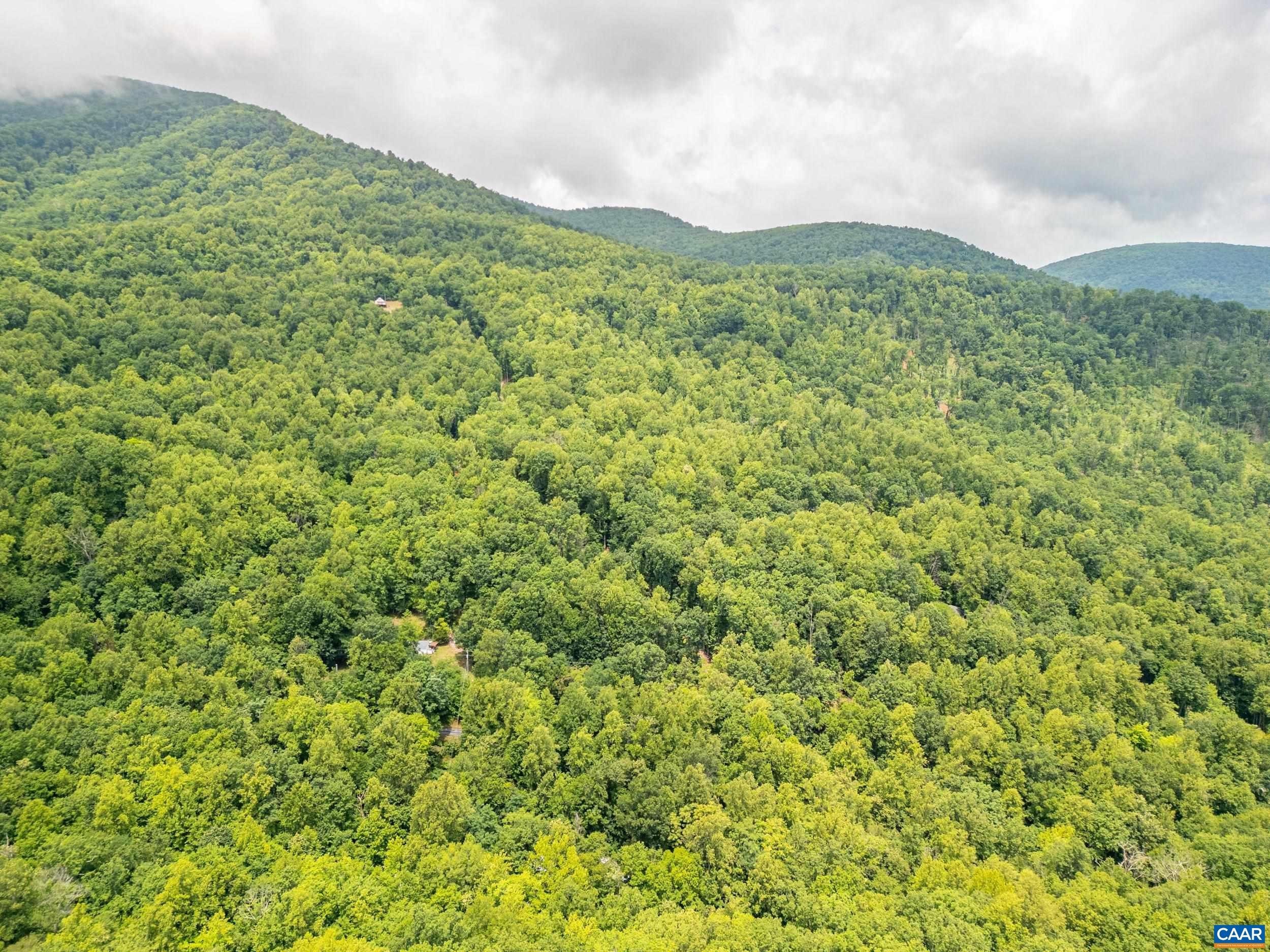 1509 SPRUCE CREEK LN, NELLYSFORD, Virginia 22958, ,Land,1509 SPRUCE CREEK LN,679059 MLS # 679059 1509 SPRUCE CREEK LN, NELLYSFORD, Virginia 22958, ,Land,1509 SPRUCE CREEK LN,679059 MLS # 679059