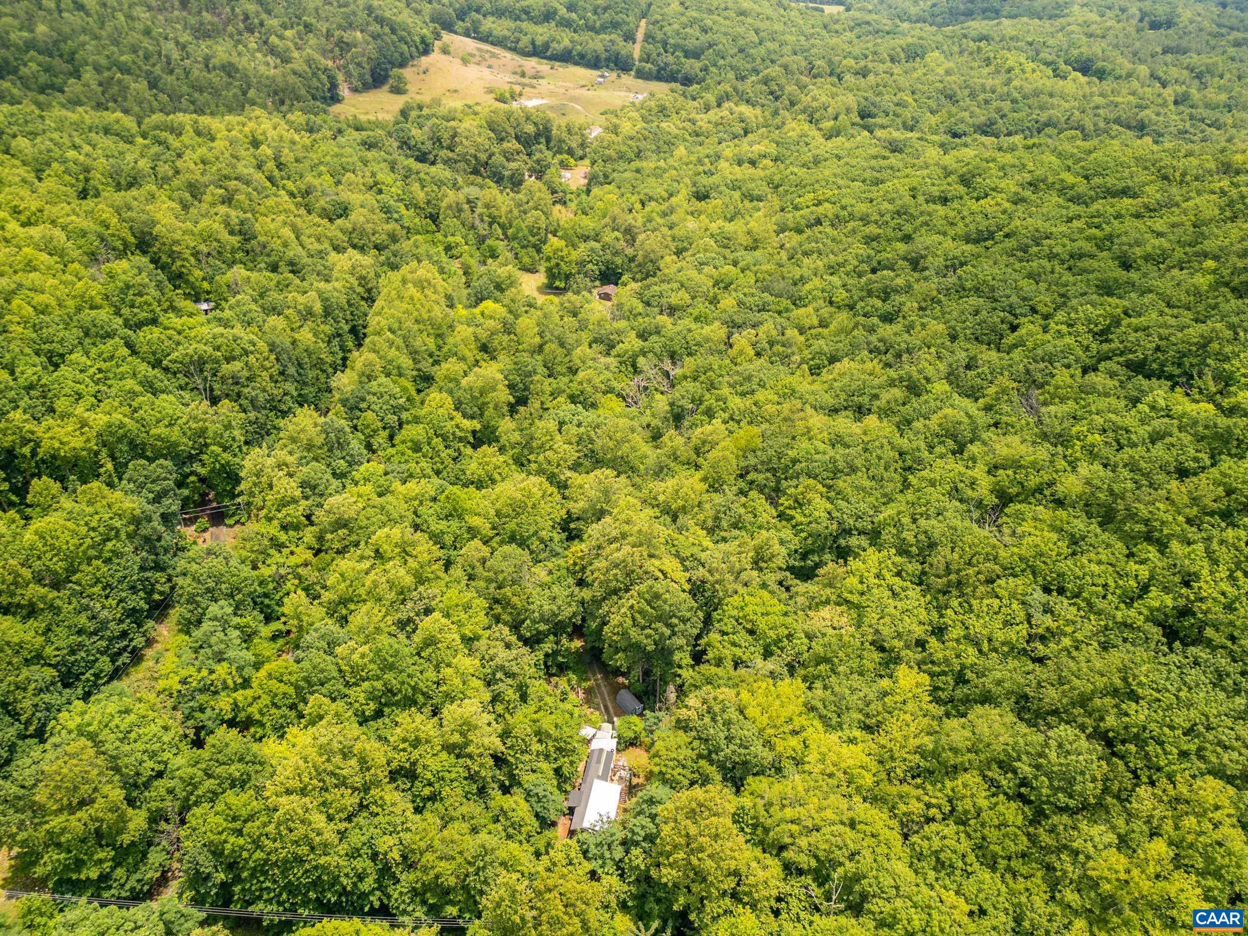 1509 SPRUCE CREEK LN, NELLYSFORD, Virginia 22958, ,Land,1509 SPRUCE CREEK LN,679059 MLS # 679059 1509 SPRUCE CREEK LN, NELLYSFORD, Virginia 22958, ,Land,1509 SPRUCE CREEK LN,679059 MLS # 679059