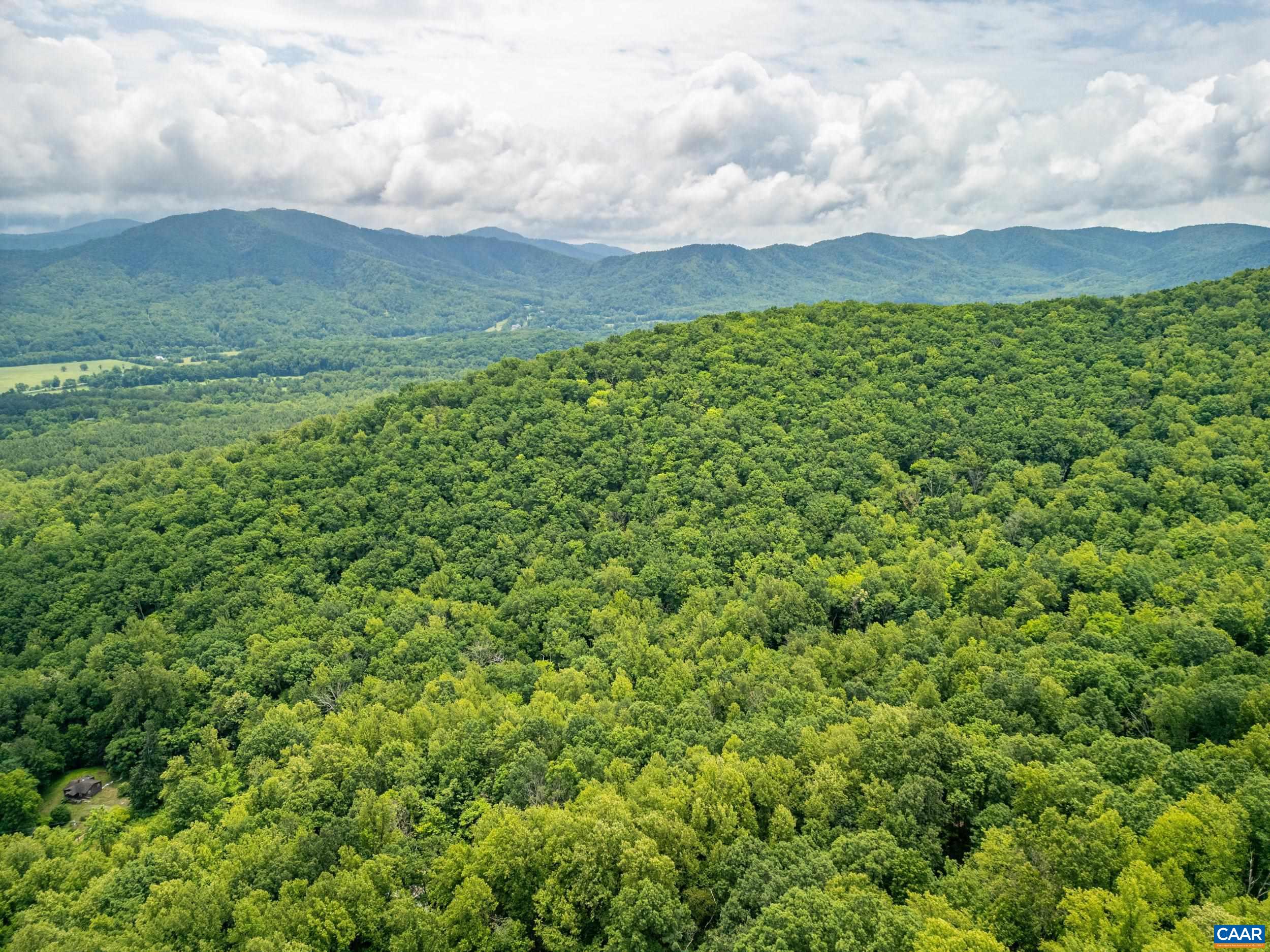 1509 SPRUCE CREEK LN, NELLYSFORD, Virginia 22958, ,Land,1509 SPRUCE CREEK LN,679059 MLS # 679059 1509 SPRUCE CREEK LN, NELLYSFORD, Virginia 22958, ,Land,1509 SPRUCE CREEK LN,679059 MLS # 679059