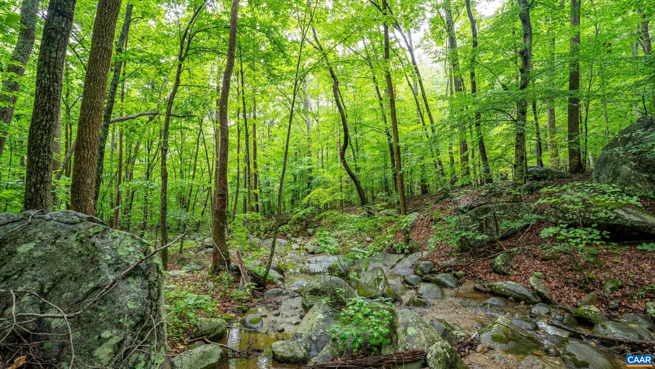 1509 SPRUCE CREEK LN, NELLYSFORD, Virginia 22958, ,Land,1509 SPRUCE CREEK LN,679059 MLS # 679059 1509 SPRUCE CREEK LN, NELLYSFORD, Virginia 22958, ,Land,1509 SPRUCE CREEK LN,679059 MLS # 679059