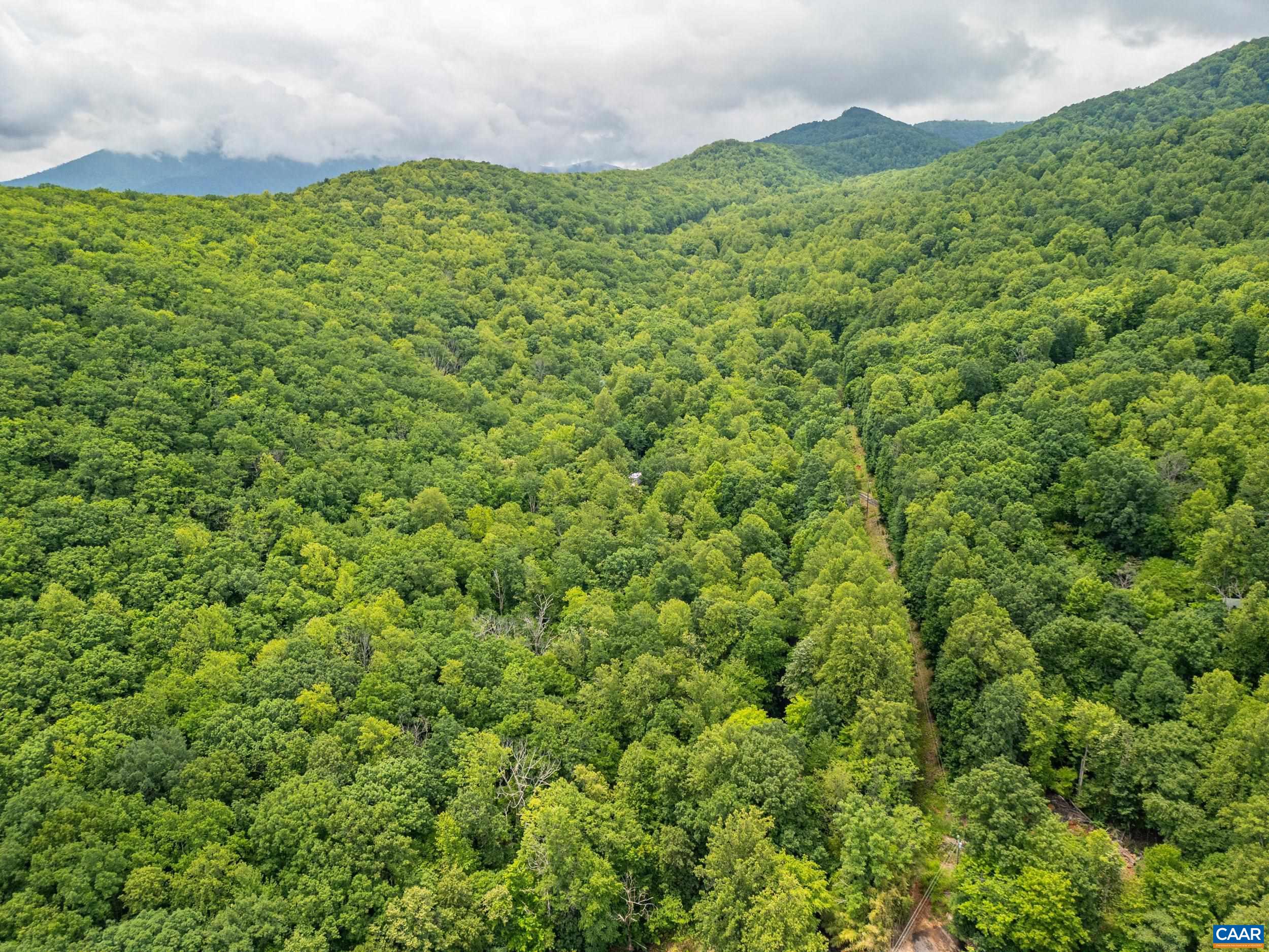 1509 SPRUCE CREEK LN, NELLYSFORD, Virginia 22958, ,Land,1509 SPRUCE CREEK LN,679059 MLS # 679059 1509 SPRUCE CREEK LN, NELLYSFORD, Virginia 22958, ,Land,1509 SPRUCE CREEK LN,679059 MLS # 679059