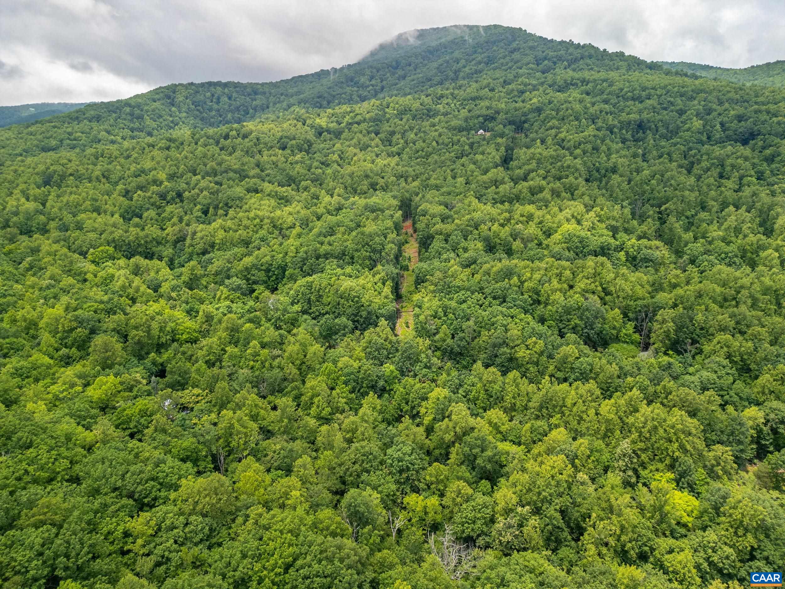 1509 SPRUCE CREEK LN, NELLYSFORD, Virginia 22958, ,Land,1509 SPRUCE CREEK LN,679059 MLS # 679059 1509 SPRUCE CREEK LN, NELLYSFORD, Virginia 22958, ,Land,1509 SPRUCE CREEK LN,679059 MLS # 679059