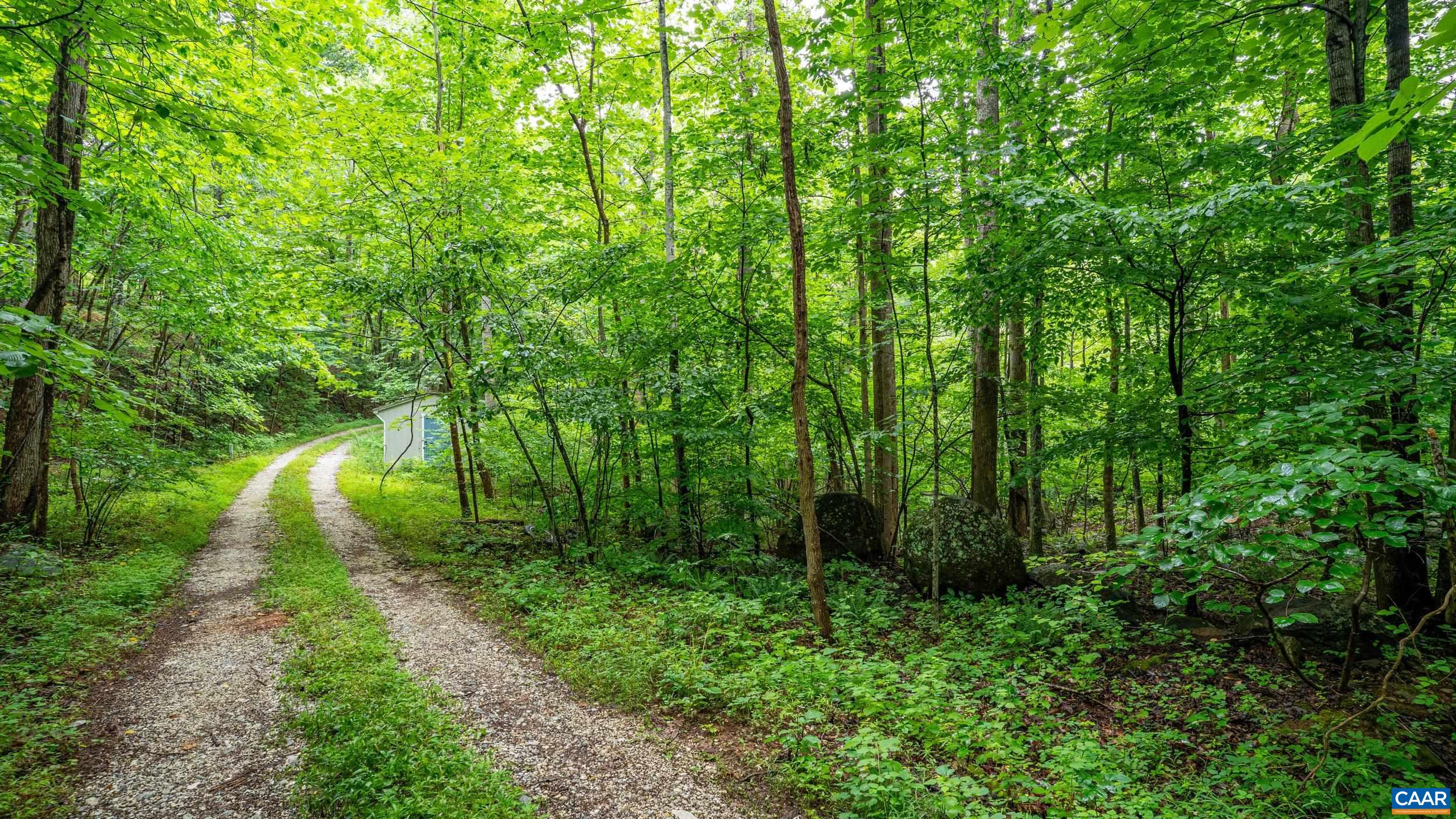 1509 SPRUCE CREEK LN, NELLYSFORD, Virginia 22958, ,Land,1509 SPRUCE CREEK LN,679059 MLS # 679059 1509 SPRUCE CREEK LN, NELLYSFORD, Virginia 22958, ,Land,1509 SPRUCE CREEK LN,679059 MLS # 679059