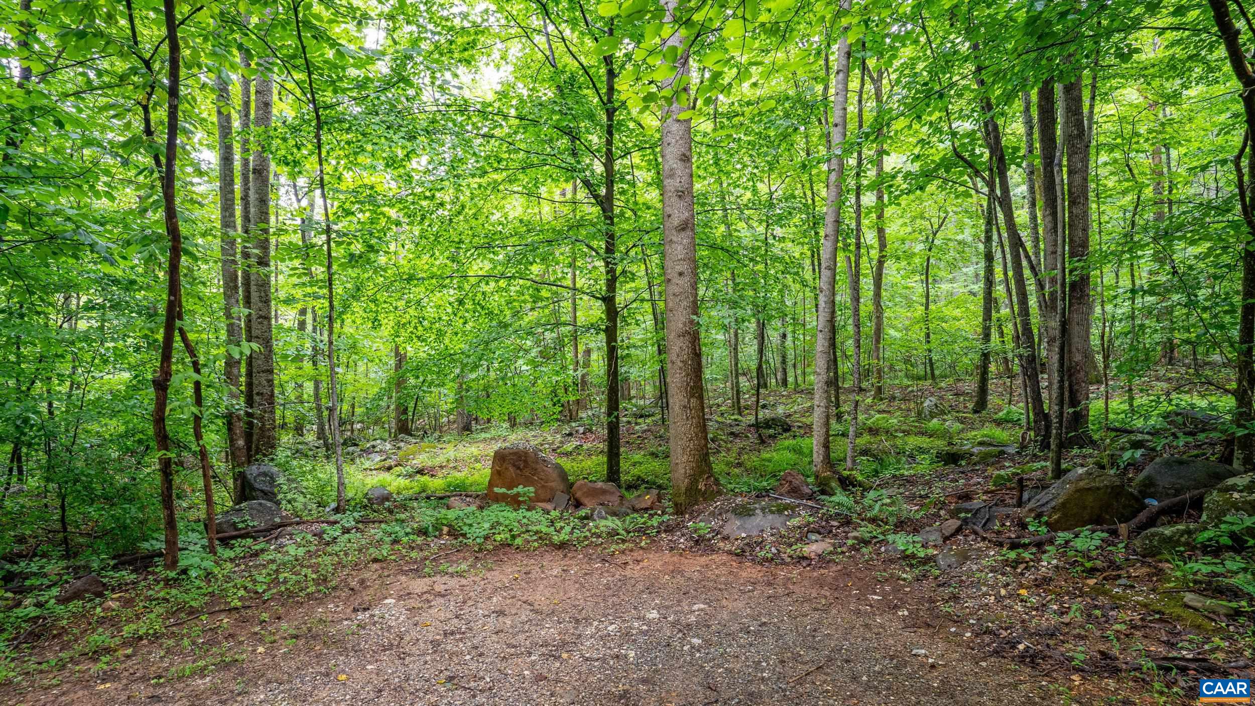 1509 SPRUCE CREEK LN, NELLYSFORD, Virginia 22958, ,Land,1509 SPRUCE CREEK LN,679059 MLS # 679059 1509 SPRUCE CREEK LN, NELLYSFORD, Virginia 22958, ,Land,1509 SPRUCE CREEK LN,679059 MLS # 679059