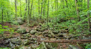 1509 SPRUCE CREEK LN, NELLYSFORD, Virginia 22958, ,Land,1509 SPRUCE CREEK LN,679059 MLS # 679059
