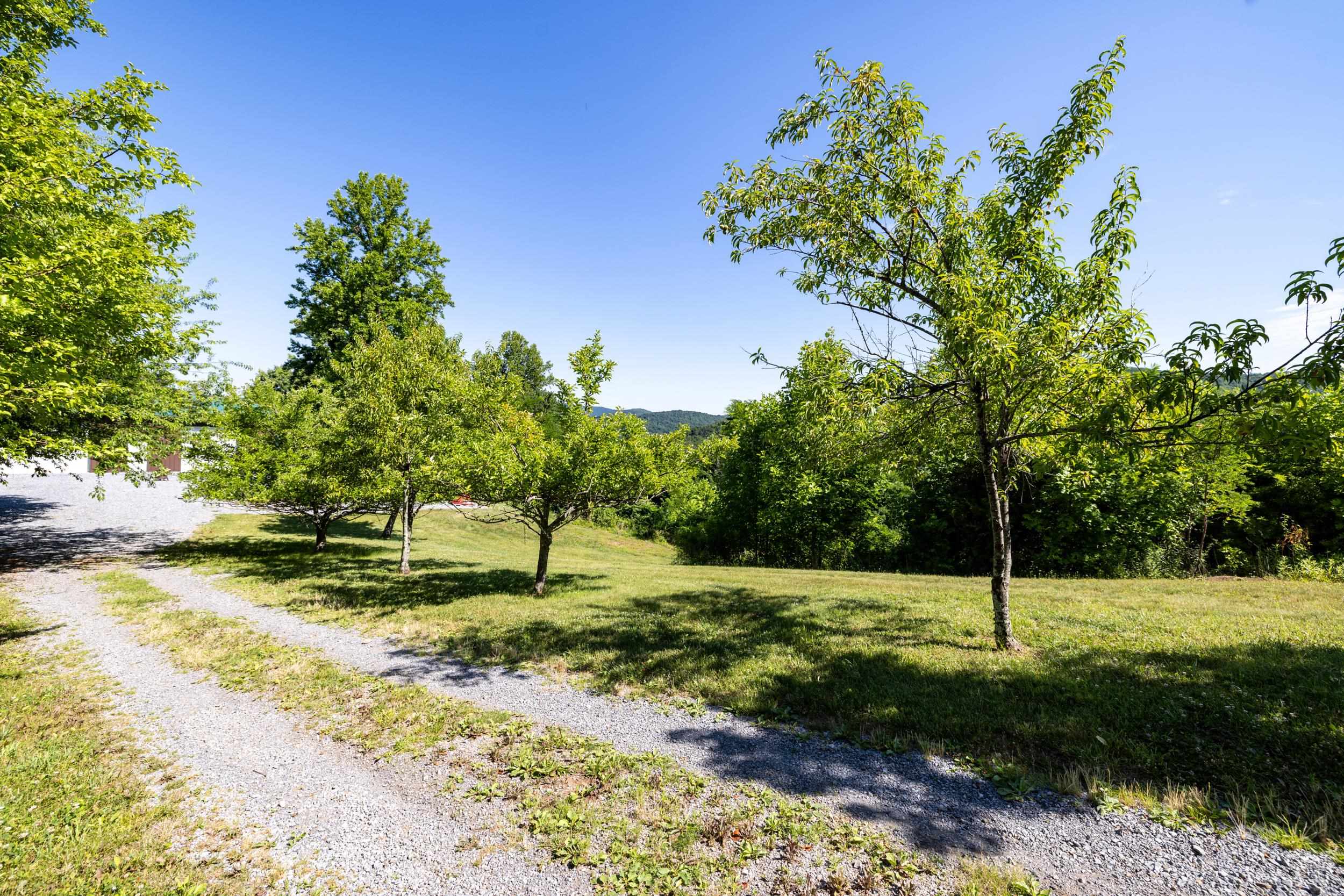 5855 JOLLETT RD, ELKTON, Virginia 22827, 1 Bedroom Bedrooms, ,1 BathroomBathrooms,Residential,5855 JOLLETT RD,679053 MLS # 679053 5855 JOLLETT RD, ELKTON, Virginia 22827, 1 Bedroom Bedrooms, ,1 BathroomBathrooms,Residential,5855 JOLLETT RD,679053 MLS # 679053