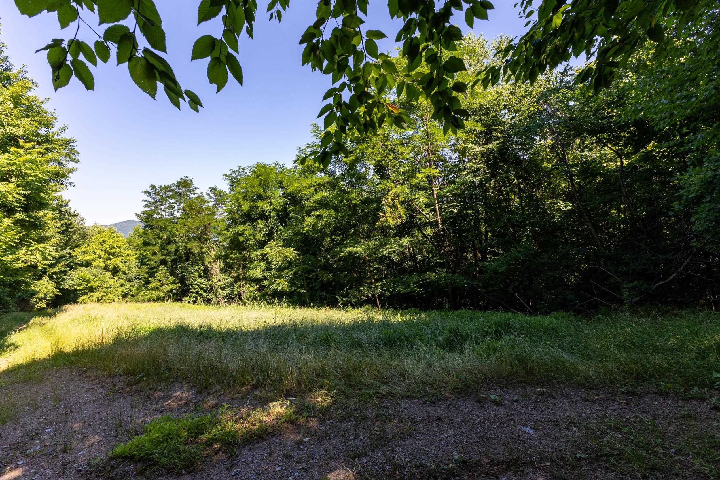 5855 JOLLETT RD, ELKTON, Virginia 22827, 1 Bedroom Bedrooms, ,1 BathroomBathrooms,Residential,5855 JOLLETT RD,679053 MLS # 679053 5855 JOLLETT RD, ELKTON, Virginia 22827, 1 Bedroom Bedrooms, ,1 BathroomBathrooms,Residential,5855 JOLLETT RD,679053 MLS # 679053