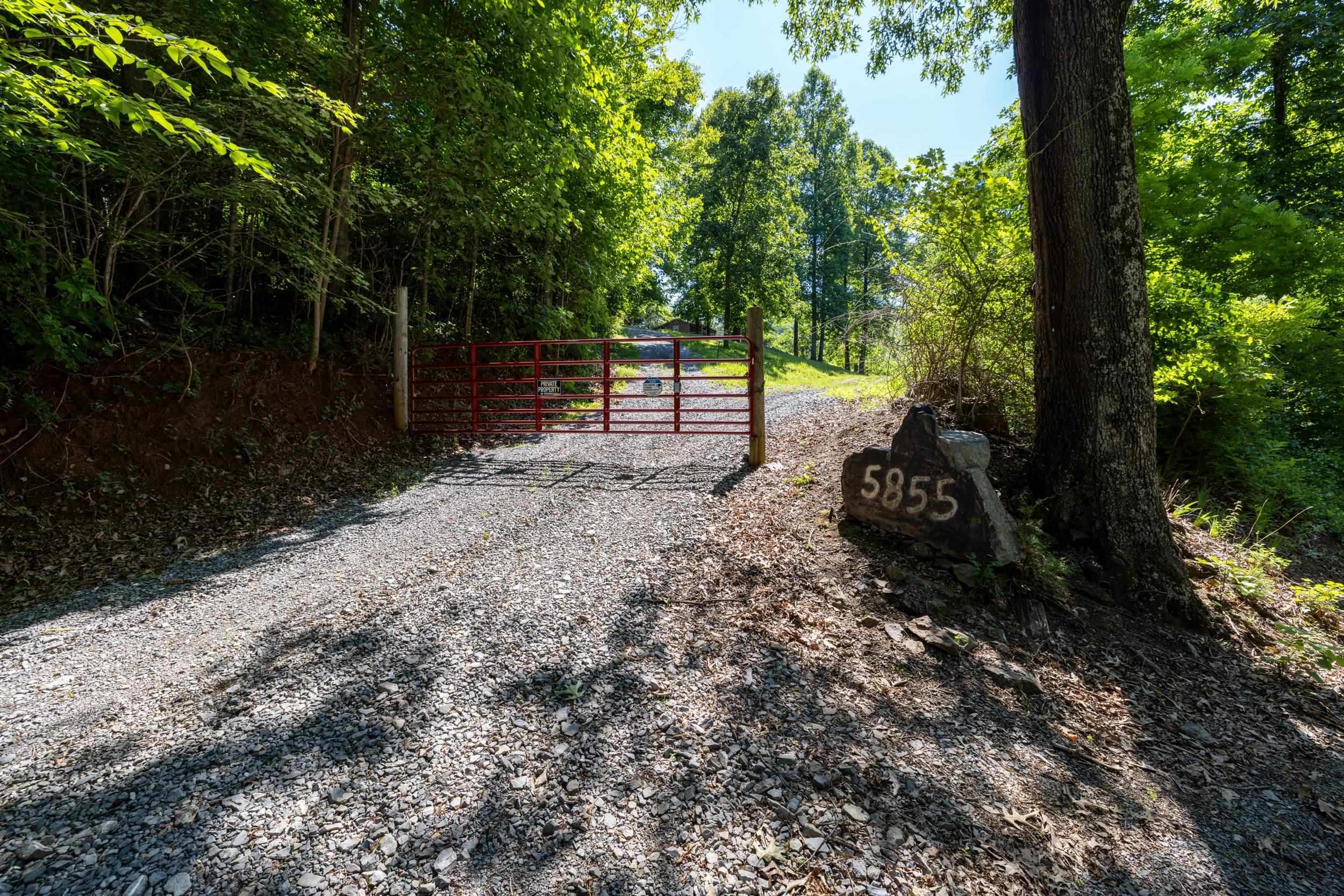 5855 JOLLETT RD, ELKTON, Virginia 22827, 1 Bedroom Bedrooms, ,1 BathroomBathrooms,Residential,5855 JOLLETT RD,679053 MLS # 679053 5855 JOLLETT RD, ELKTON, Virginia 22827, 1 Bedroom Bedrooms, ,1 BathroomBathrooms,Residential,5855 JOLLETT RD,679053 MLS # 679053
