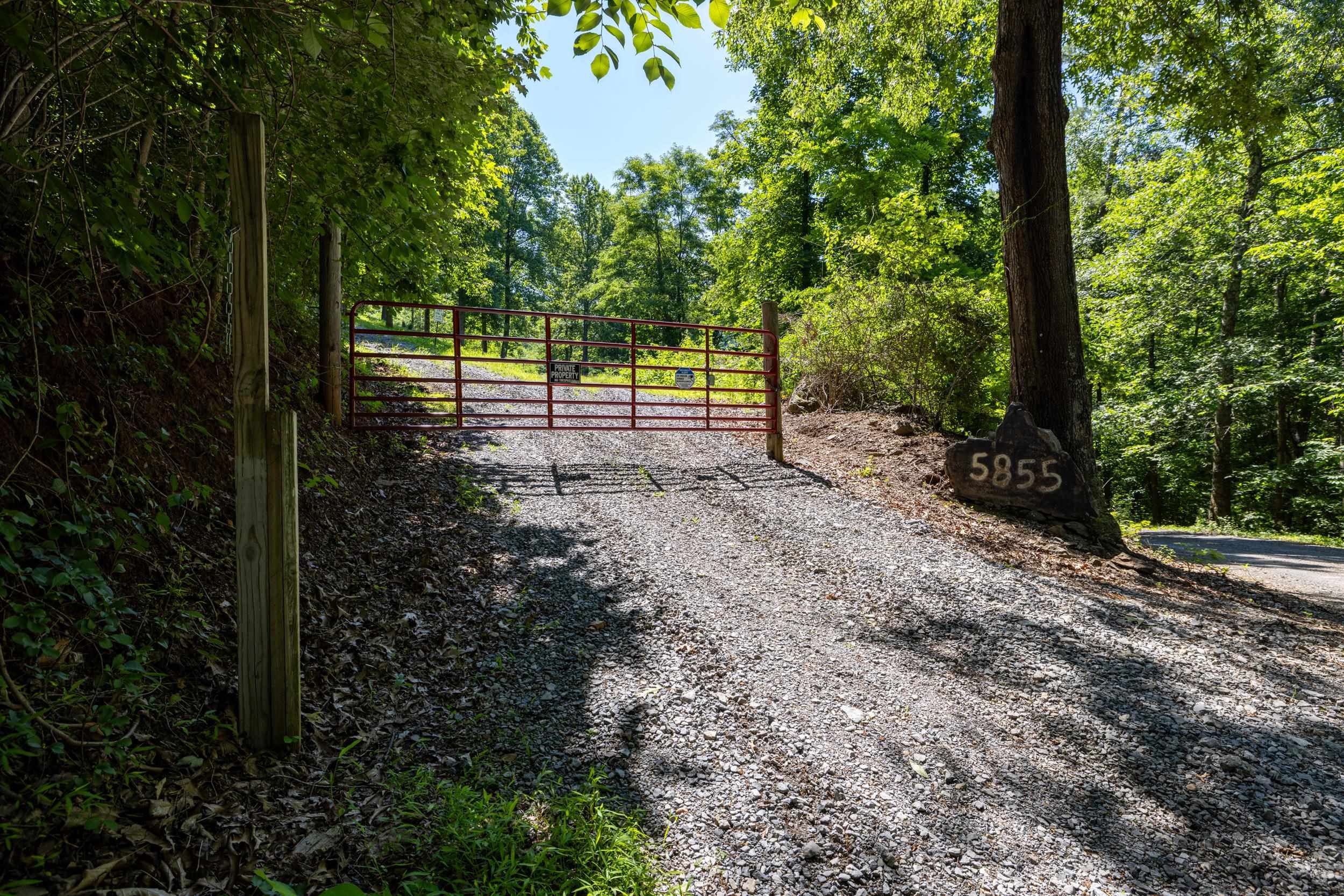 5855 JOLLETT RD, ELKTON, Virginia 22827, 1 Bedroom Bedrooms, ,1 BathroomBathrooms,Residential,5855 JOLLETT RD,679053 MLS # 679053 5855 JOLLETT RD, ELKTON, Virginia 22827, 1 Bedroom Bedrooms, ,1 BathroomBathrooms,Residential,5855 JOLLETT RD,679053 MLS # 679053