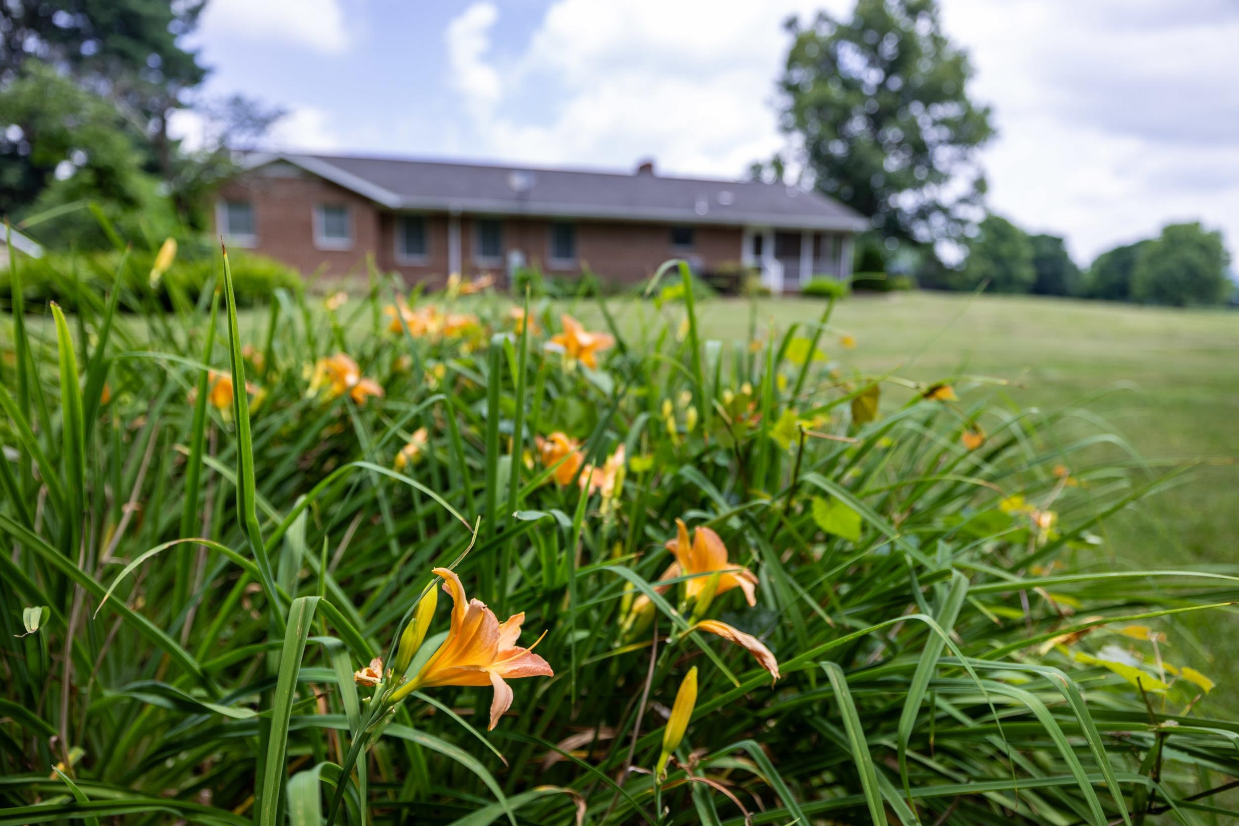 1630 ISLAND FORD RD, ELKTON, Virginia 22827, 3 Bedrooms Bedrooms, ,2 BathroomsBathrooms,Residential,1630 ISLAND FORD RD,679054 MLS # 679054 1630 ISLAND FORD RD, ELKTON, Virginia 22827, 3 Bedrooms Bedrooms, ,2 BathroomsBathrooms,Residential,1630 ISLAND FORD RD,679054 MLS # 679054