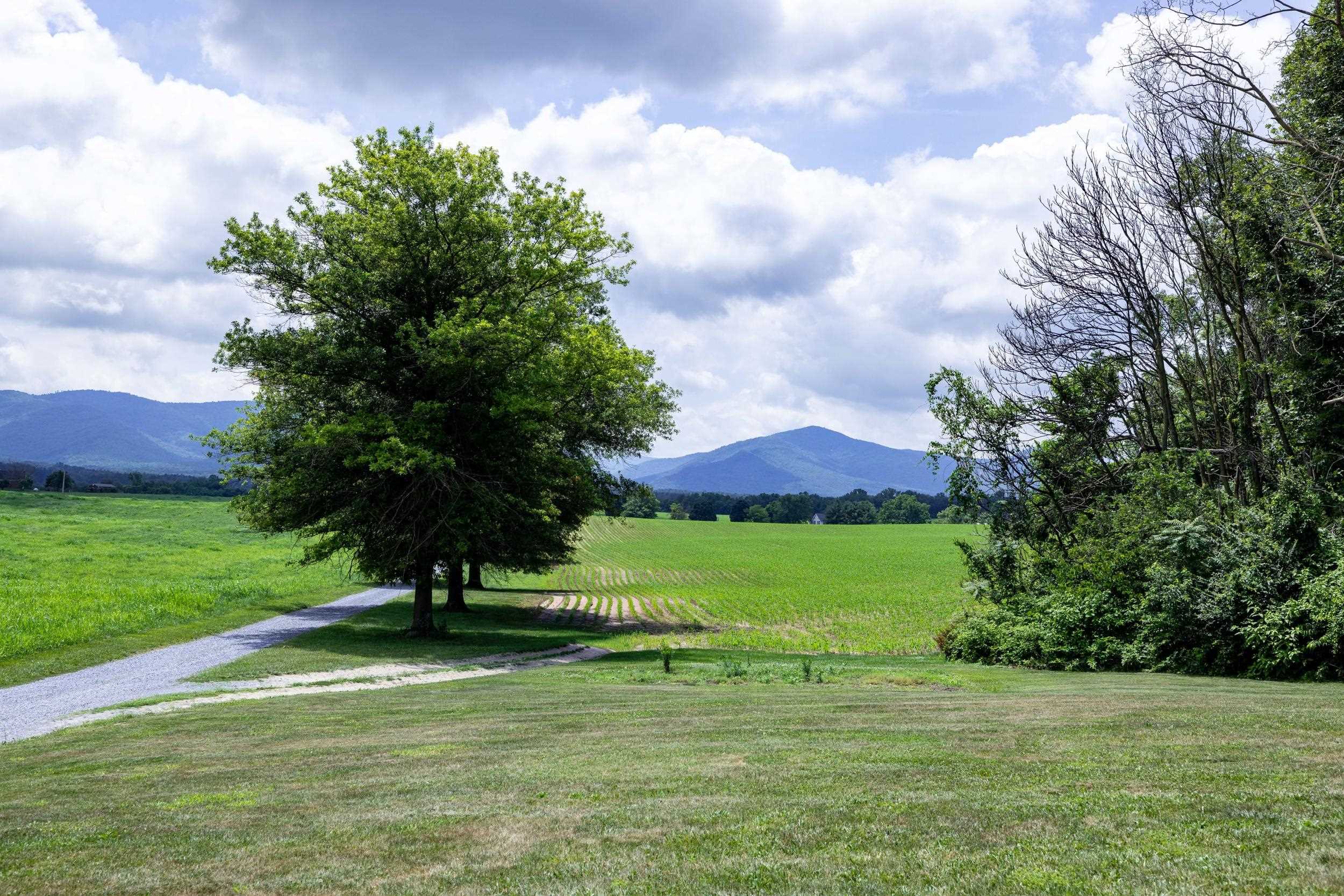 1630 ISLAND FORD RD, ELKTON, Virginia 22827, 3 Bedrooms Bedrooms, ,2 BathroomsBathrooms,Residential,1630 ISLAND FORD RD,679054 MLS # 679054 1630 ISLAND FORD RD, ELKTON, Virginia 22827, 3 Bedrooms Bedrooms, ,2 BathroomsBathrooms,Residential,1630 ISLAND FORD RD,679054 MLS # 679054