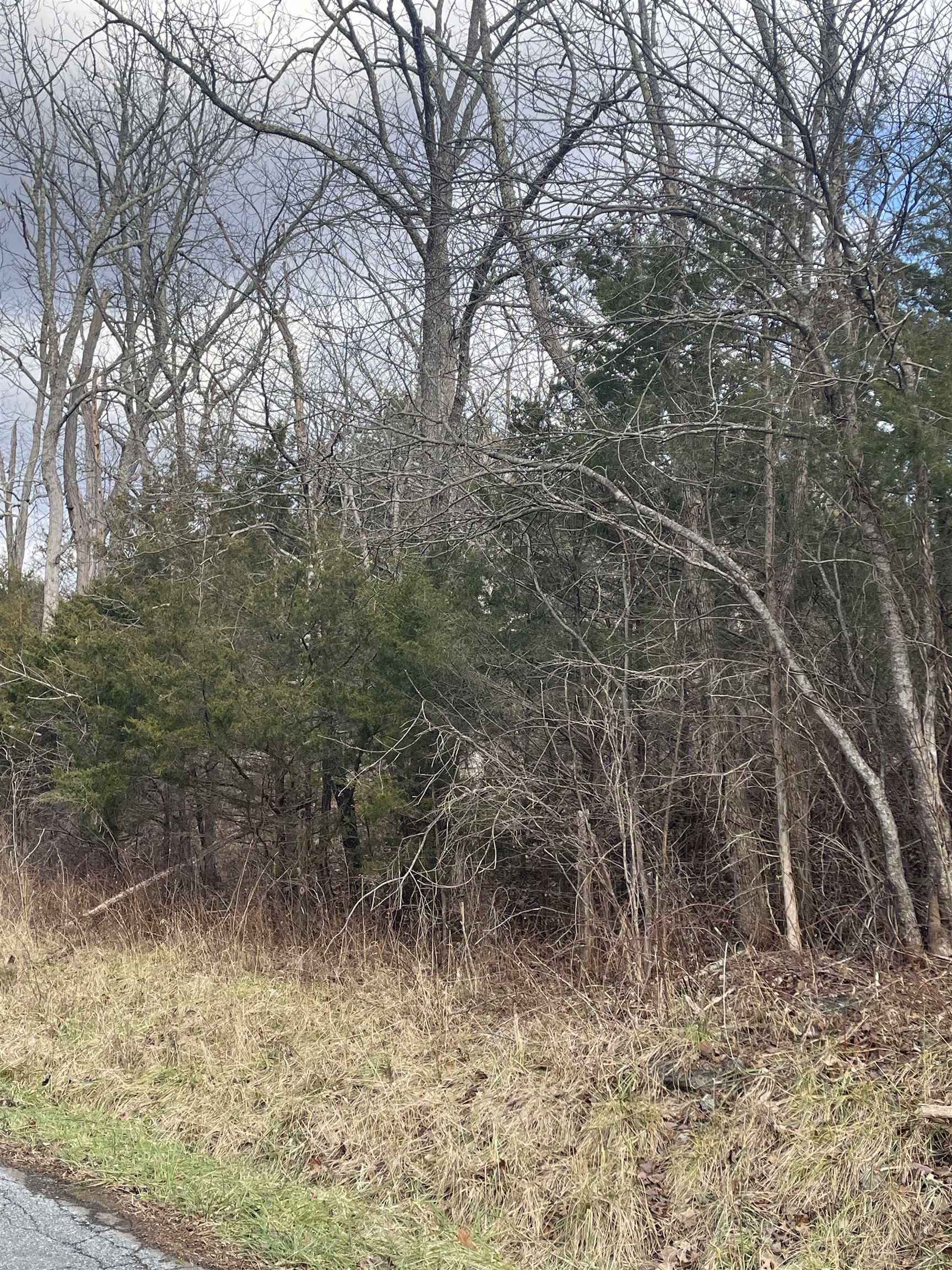 TBD WALKER CREEK RD, MIDDLEBROOK, Virginia 24459, ,Land,TBD WALKER CREEK RD,671989 MLS # 671989 TBD WALKER CREEK RD, MIDDLEBROOK, Virginia 24459, ,Land,TBD WALKER CREEK RD,671989 MLS # 671989