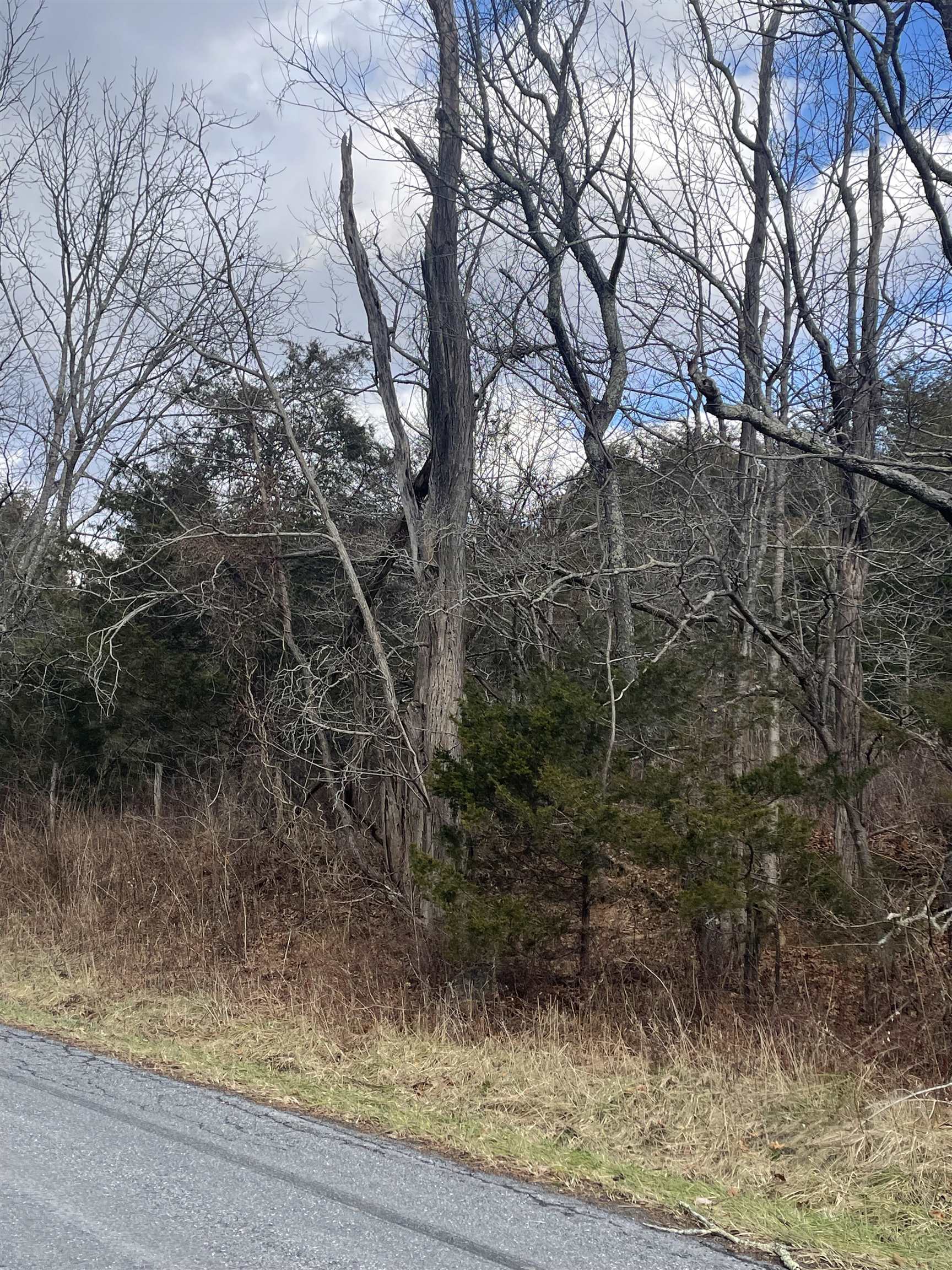 TBD WALKER CREEK RD, MIDDLEBROOK, Virginia 24459, ,Land,TBD WALKER CREEK RD,671989 MLS # 671989 TBD WALKER CREEK RD, MIDDLEBROOK, Virginia 24459, ,Land,TBD WALKER CREEK RD,671989 MLS # 671989