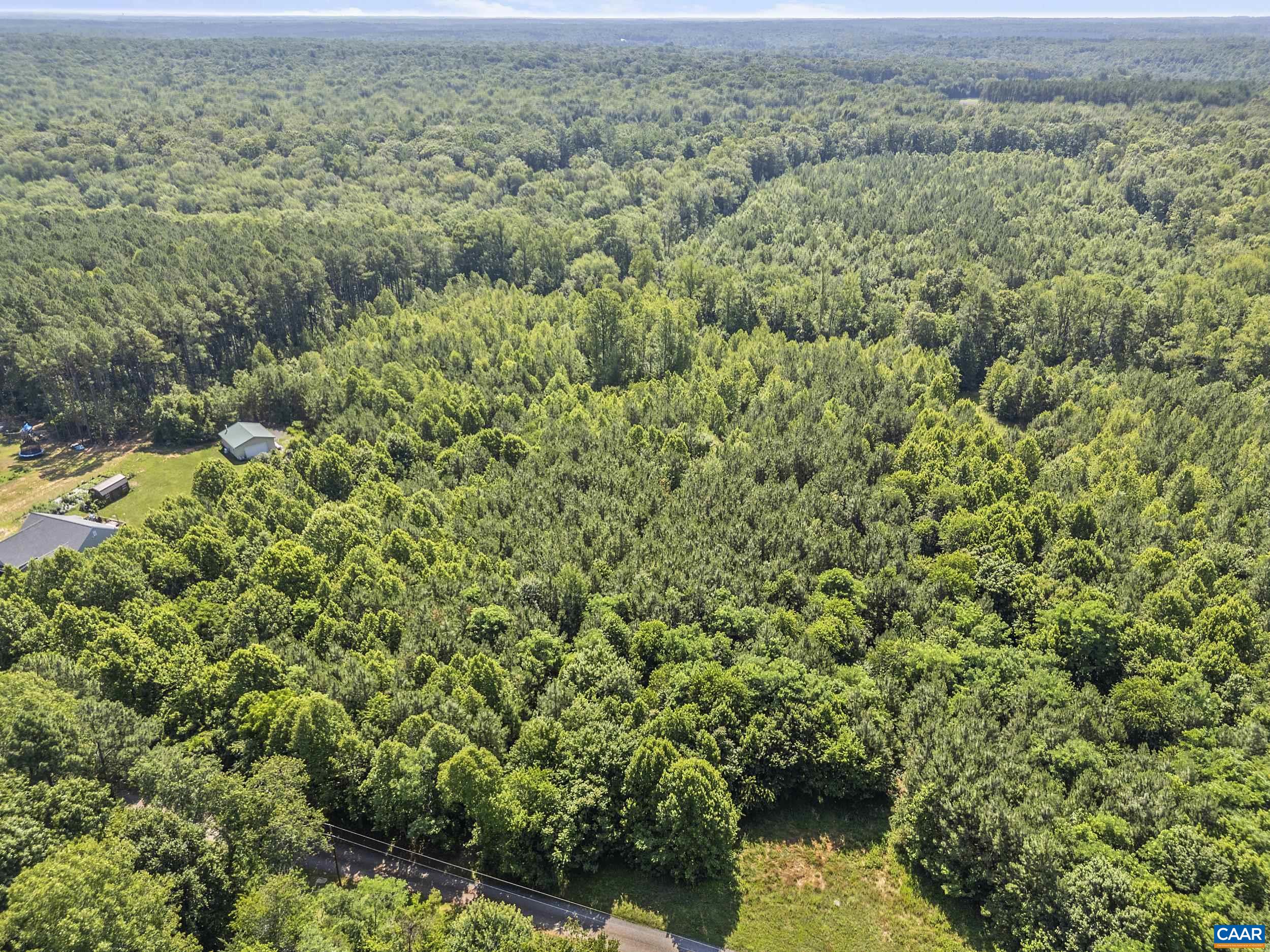 0 PANNELL LN, CULPEPER, Virginia 22701, ,Land,0 PANNELL LN,679077 MLS # 679077 0 PANNELL LN, CULPEPER, Virginia 22701, ,Land,0 PANNELL LN,679077 MLS # 679077