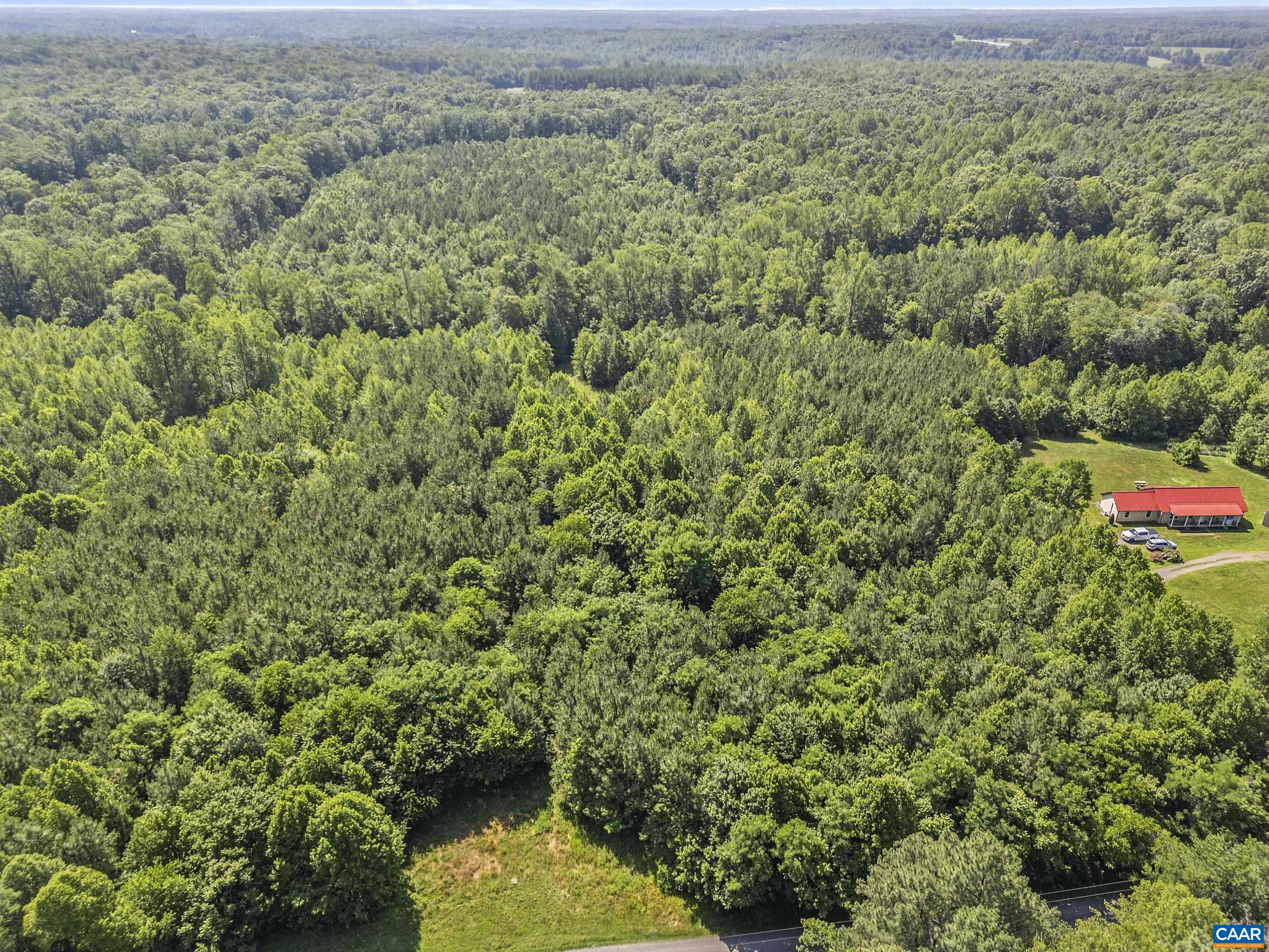 0 PANNELL LN, CULPEPER, Virginia 22701, ,Land,0 PANNELL LN,679077 MLS # 679077 0 PANNELL LN, CULPEPER, Virginia 22701, ,Land,0 PANNELL LN,679077 MLS # 679077