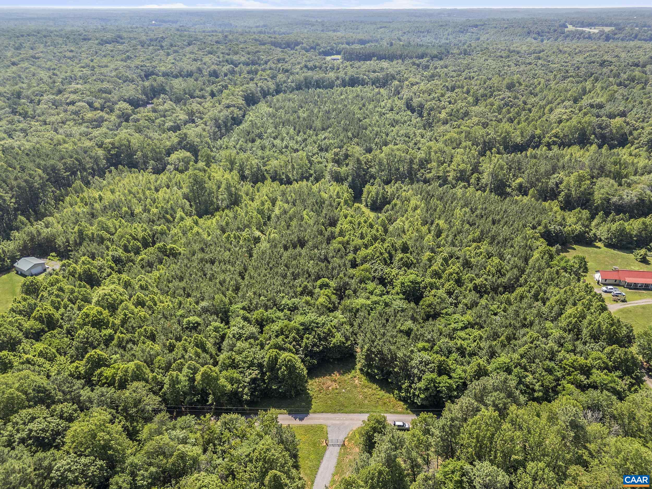 0 PANNELL LN, CULPEPER, Virginia 22701, ,Land,0 PANNELL LN,679077 MLS # 679077 0 PANNELL LN, CULPEPER, Virginia 22701, ,Land,0 PANNELL LN,679077 MLS # 679077