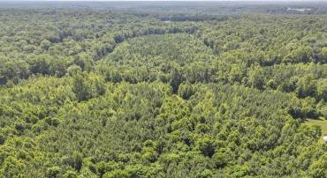 0 PANNELL LN, CULPEPER, Virginia 22701, ,Land,0 PANNELL LN,679077 MLS # 679077
