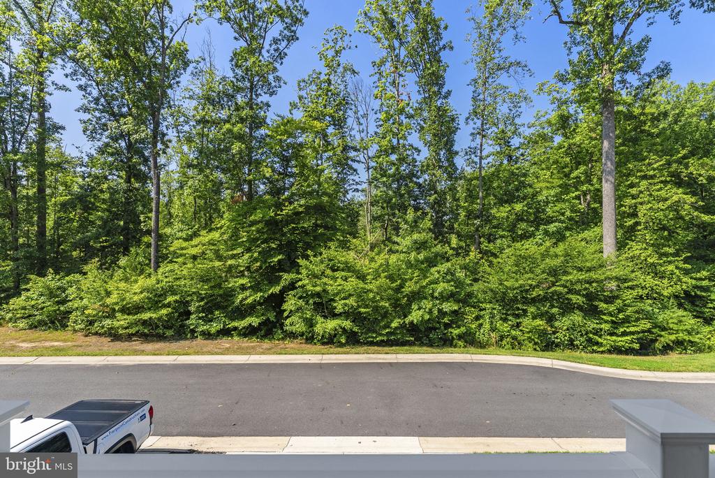 6410 CRITTENDEN LN, SPOTSYLVANIA, Virginia 22553, 3 Bedrooms Bedrooms, ,2 BathroomsBathrooms,Residential,6410 CRITTENDEN LN,VASP2043240 MLS # VASP2043240 6410 CRITTENDEN LN, SPOTSYLVANIA, Virginia 22553, 3 Bedrooms Bedrooms, ,2 BathroomsBathrooms,Residential,6410 CRITTENDEN LN,VASP2043240 MLS # VASP2043240
