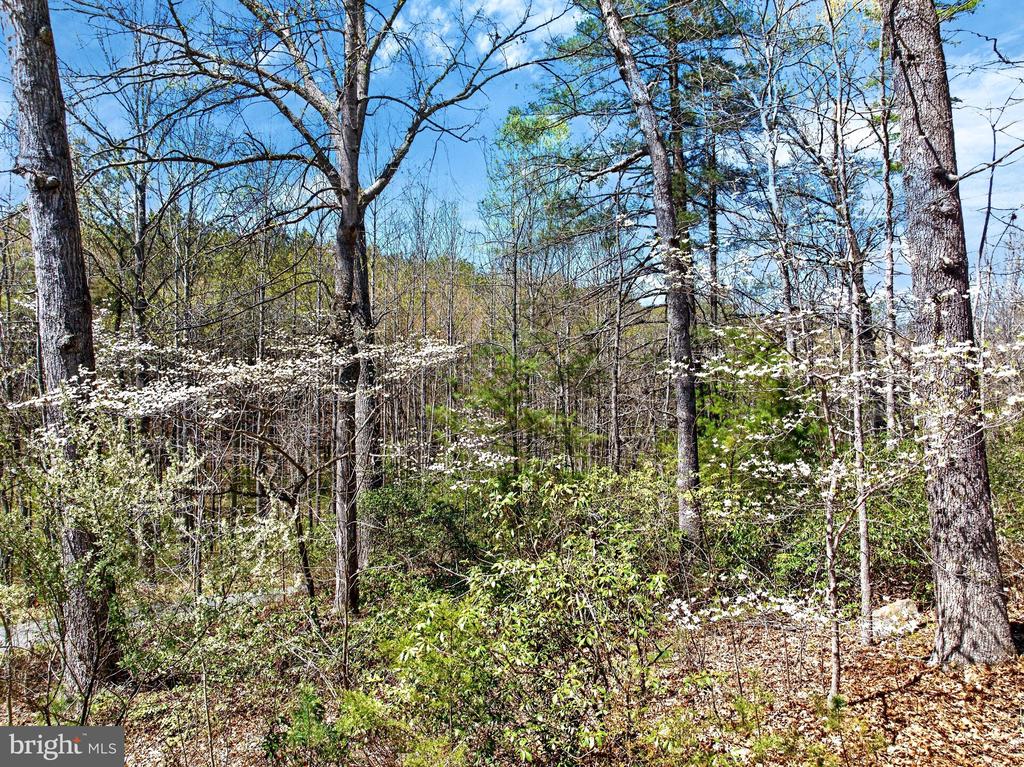 12415 SCOTTS MILL RD, CULPEPER, Virginia 22701, 5 Bedrooms Bedrooms, ,4 BathroomsBathrooms,Residential,12415 SCOTTS MILL RD,VACU2014258 MLS # VACU2014258