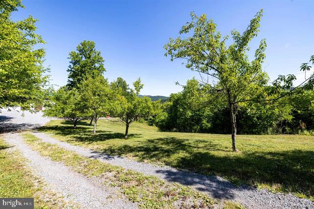 5855 JOLLETT RD, ELKTON, Virginia 22827, 1 Bedroom Bedrooms, ,1 BathroomBathrooms,Residential,5855 JOLLETT RD,VAPA2006616 MLS # VAPA2006616 5855 JOLLETT RD, ELKTON, Virginia 22827, 1 Bedroom Bedrooms, ,1 BathroomBathrooms,Residential,5855 JOLLETT RD,VAPA2006616 MLS # VAPA2006616