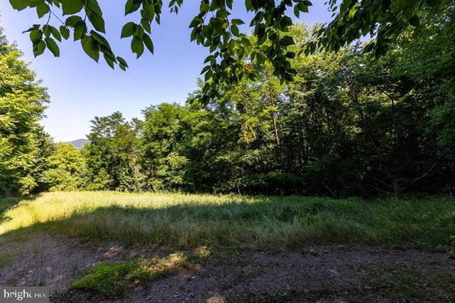 5855 JOLLETT RD, ELKTON, Virginia 22827, 1 Bedroom Bedrooms, ,1 BathroomBathrooms,Residential,5855 JOLLETT RD,VAPA2006616 MLS # VAPA2006616 5855 JOLLETT RD, ELKTON, Virginia 22827, 1 Bedroom Bedrooms, ,1 BathroomBathrooms,Residential,5855 JOLLETT RD,VAPA2006616 MLS # VAPA2006616