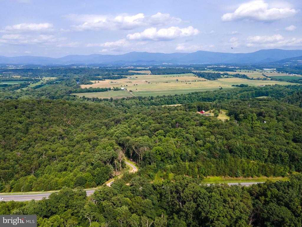 US HWY 340 S, STANLEY, Virginia 22851, ,Land,US HWY 340 S,VAPA2006612 MLS # VAPA2006612 US HWY 340 S, STANLEY, Virginia 22851, ,Land,US HWY 340 S,VAPA2006612 MLS # VAPA2006612