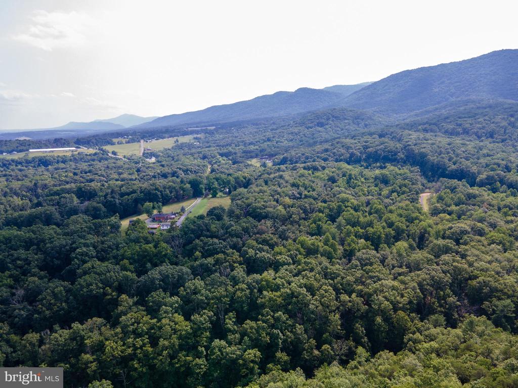 US HWY 340 S, STANLEY, Virginia 22851, ,Land,US HWY 340 S,VAPA2006612 MLS # VAPA2006612 US HWY 340 S, STANLEY, Virginia 22851, ,Land,US HWY 340 S,VAPA2006612 MLS # VAPA2006612