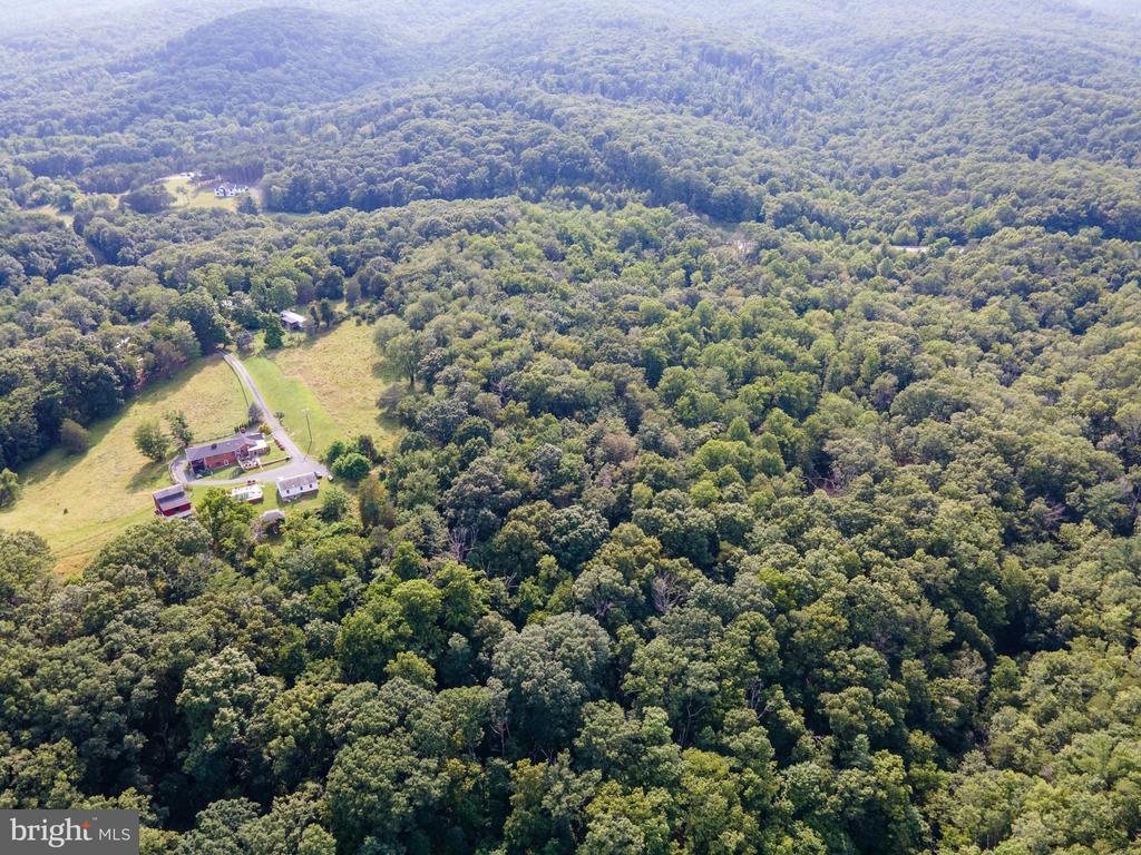 US HWY 340 S, STANLEY, Virginia 22851, ,Land,US HWY 340 S,VAPA2006612 MLS # VAPA2006612 US HWY 340 S, STANLEY, Virginia 22851, ,Land,US HWY 340 S,VAPA2006612 MLS # VAPA2006612