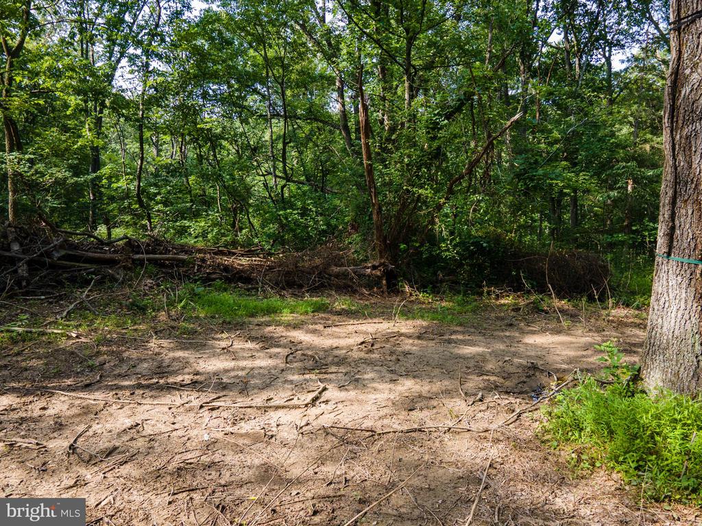 US HWY 340 S, STANLEY, Virginia 22851, ,Land,US HWY 340 S,VAPA2006612 MLS # VAPA2006612 US HWY 340 S, STANLEY, Virginia 22851, ,Land,US HWY 340 S,VAPA2006612 MLS # VAPA2006612