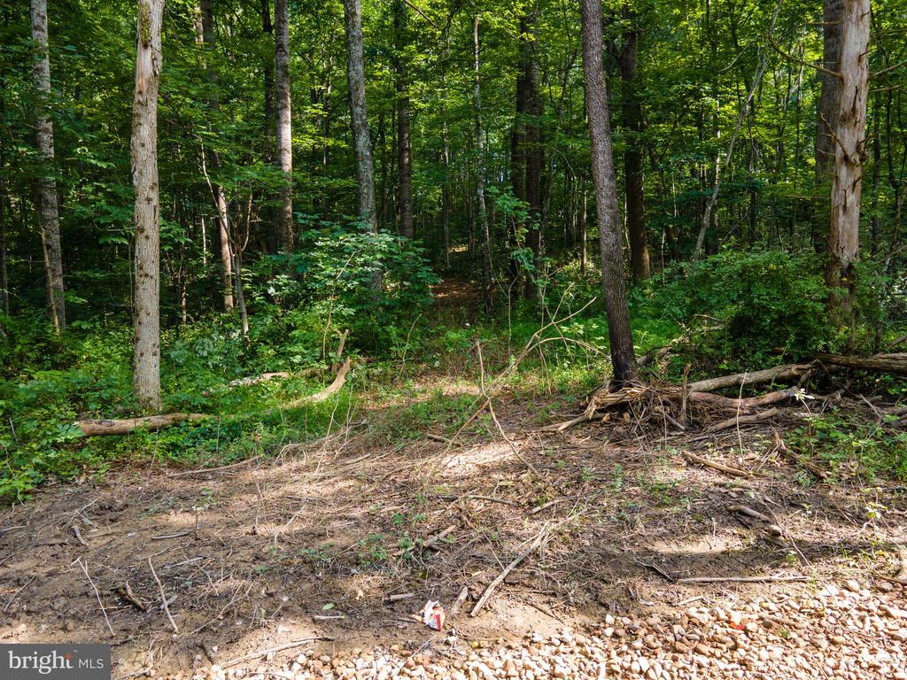 US HWY 340 S, STANLEY, Virginia 22851, ,Land,US HWY 340 S,VAPA2006612 MLS # VAPA2006612 US HWY 340 S, STANLEY, Virginia 22851, ,Land,US HWY 340 S,VAPA2006612 MLS # VAPA2006612