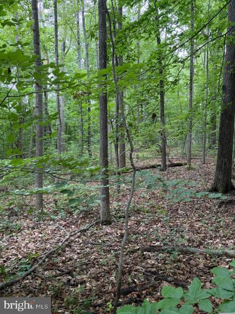 15413 DRUMMERS LN, ORANGE, Virginia 22960, ,Land,15413 DRUMMERS LN,VASP2043308 MLS # VASP2043308 15413 DRUMMERS LN, ORANGE, Virginia 22960, ,Land,15413 DRUMMERS LN,VASP2043308 MLS # VASP2043308