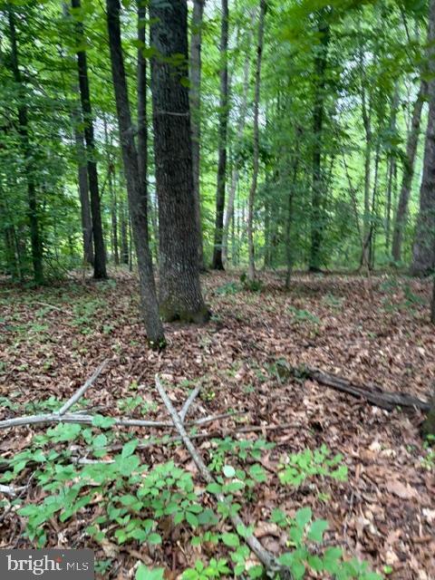 15413 DRUMMERS LN, ORANGE, Virginia 22960, ,Land,15413 DRUMMERS LN,VASP2043308 MLS # VASP2043308